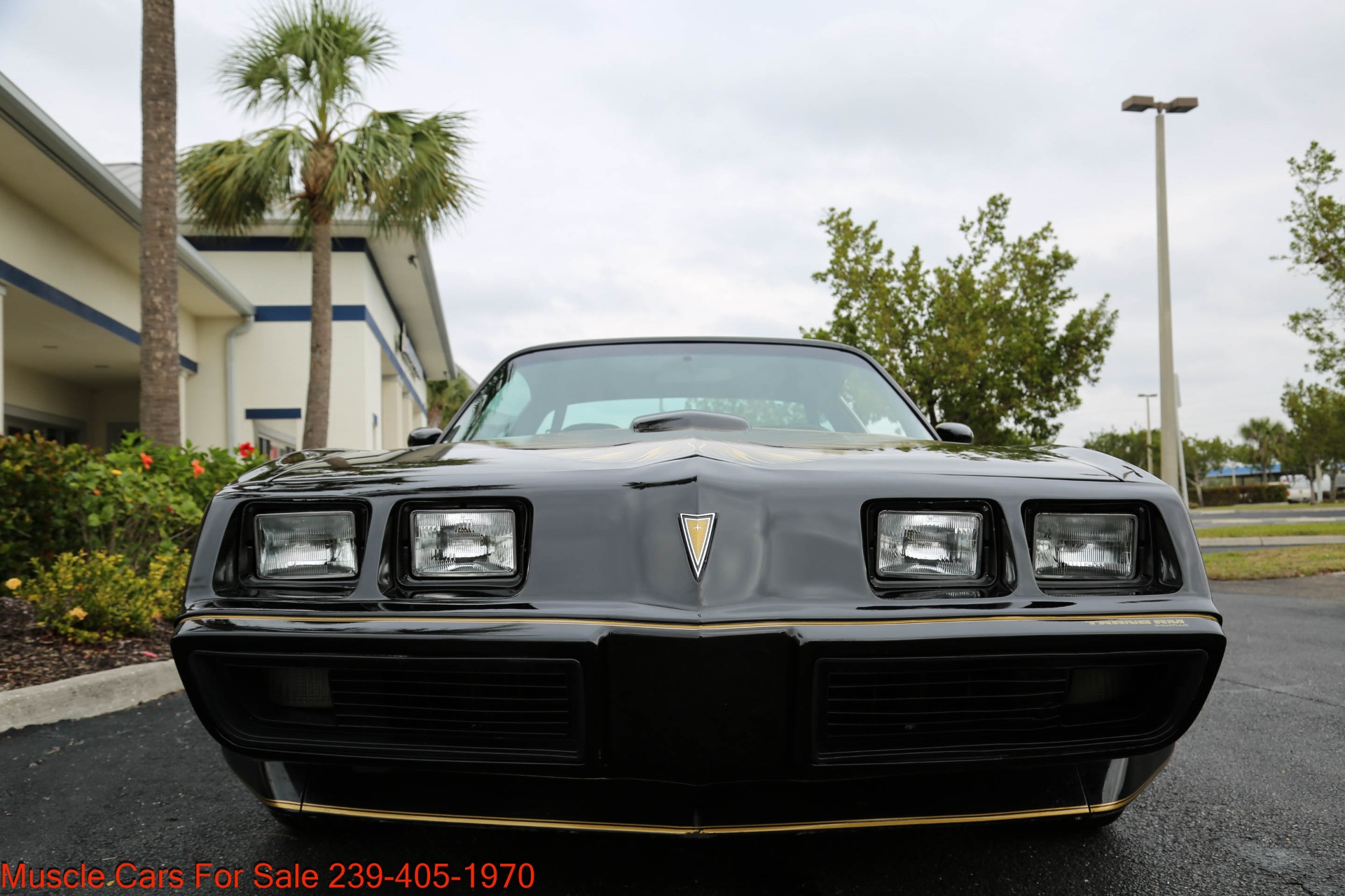 Used 1979 Pontiac TRANS AM 6.6 4 Speed manual for sale Sold at Muscle Cars for Sale Inc. in Fort Myers FL 33912 3