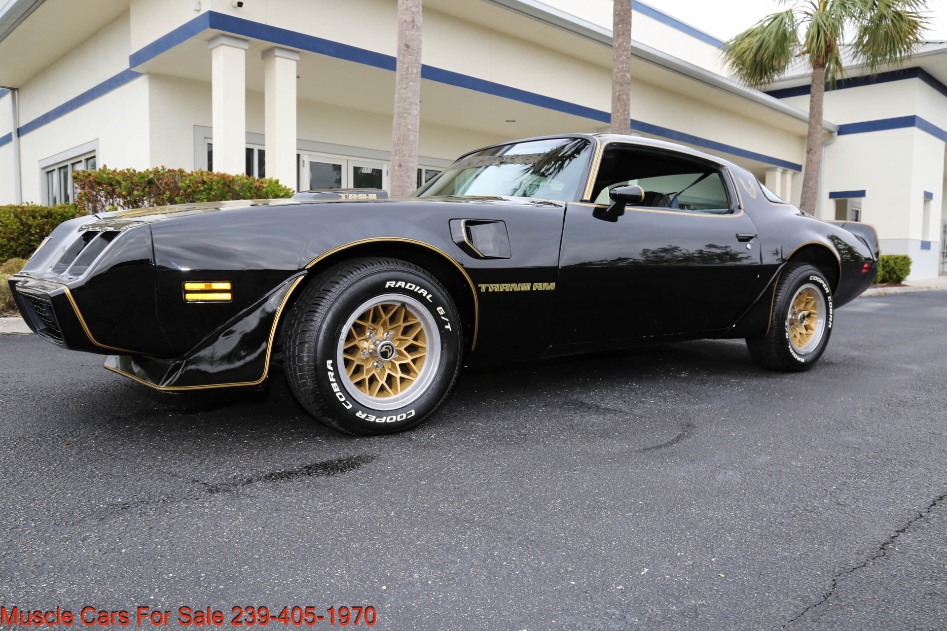 Used 1979 Pontiac TRANS AM 6.6 4 Speed manual for sale Sold at Muscle Cars for Sale Inc. in Fort Myers FL 33912 4