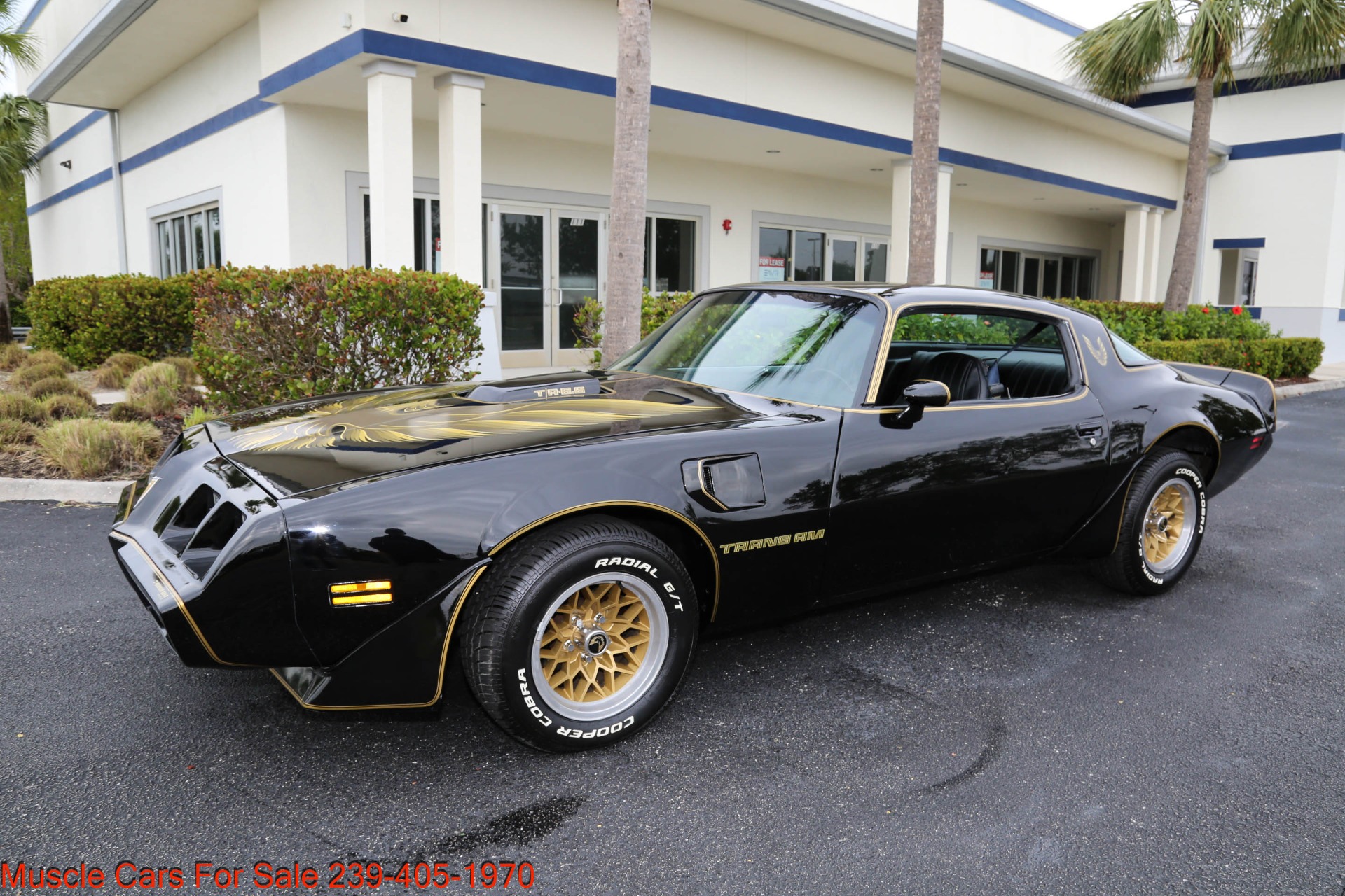 Used 1979 Pontiac TRANS AM 6.6 4 Speed manual for sale Sold at Muscle Cars for Sale Inc. in Fort Myers FL 33912 5