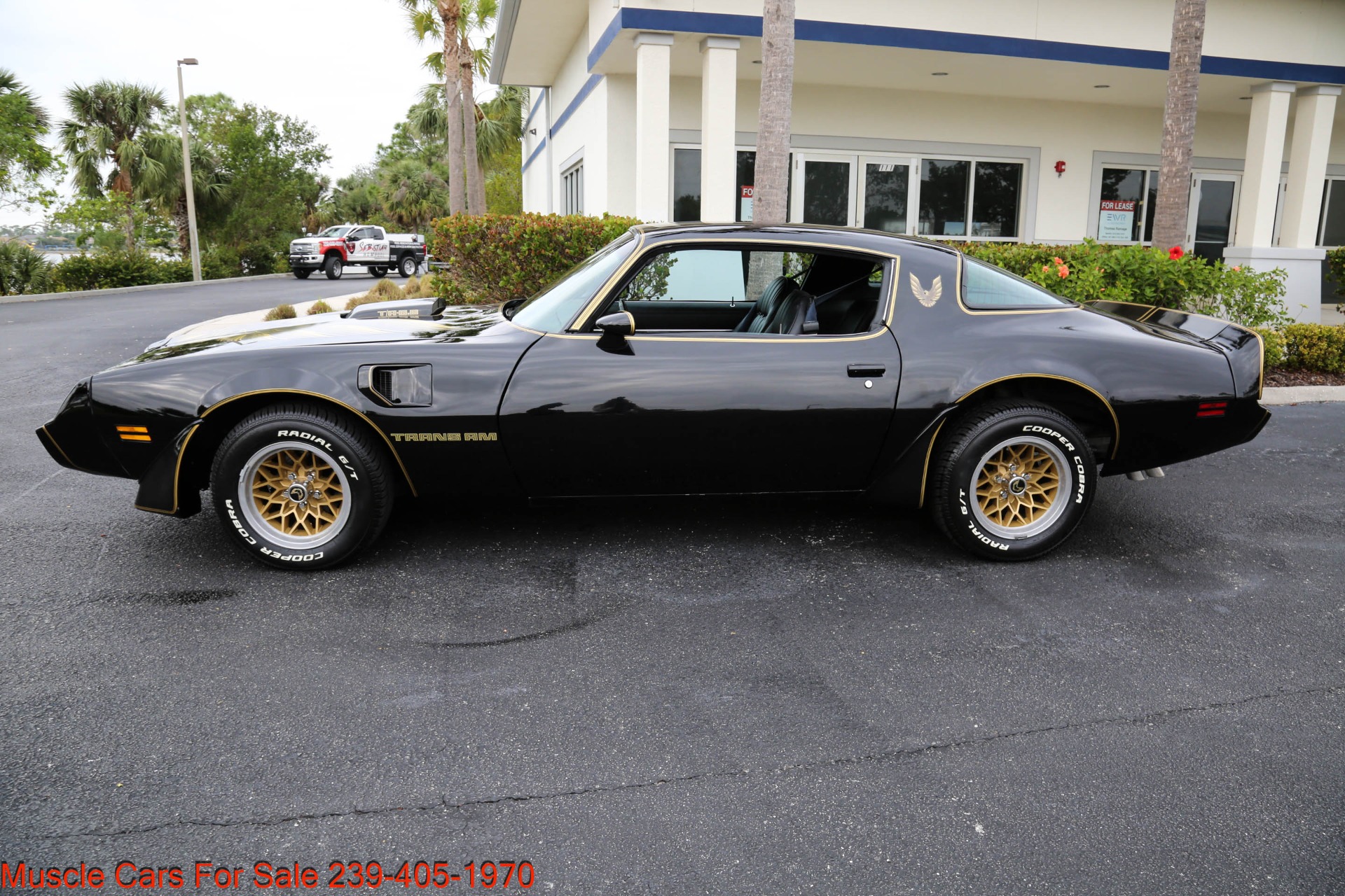 Used 1979 Pontiac TRANS AM 6.6 4 Speed manual for sale Sold at Muscle Cars for Sale Inc. in Fort Myers FL 33912 6