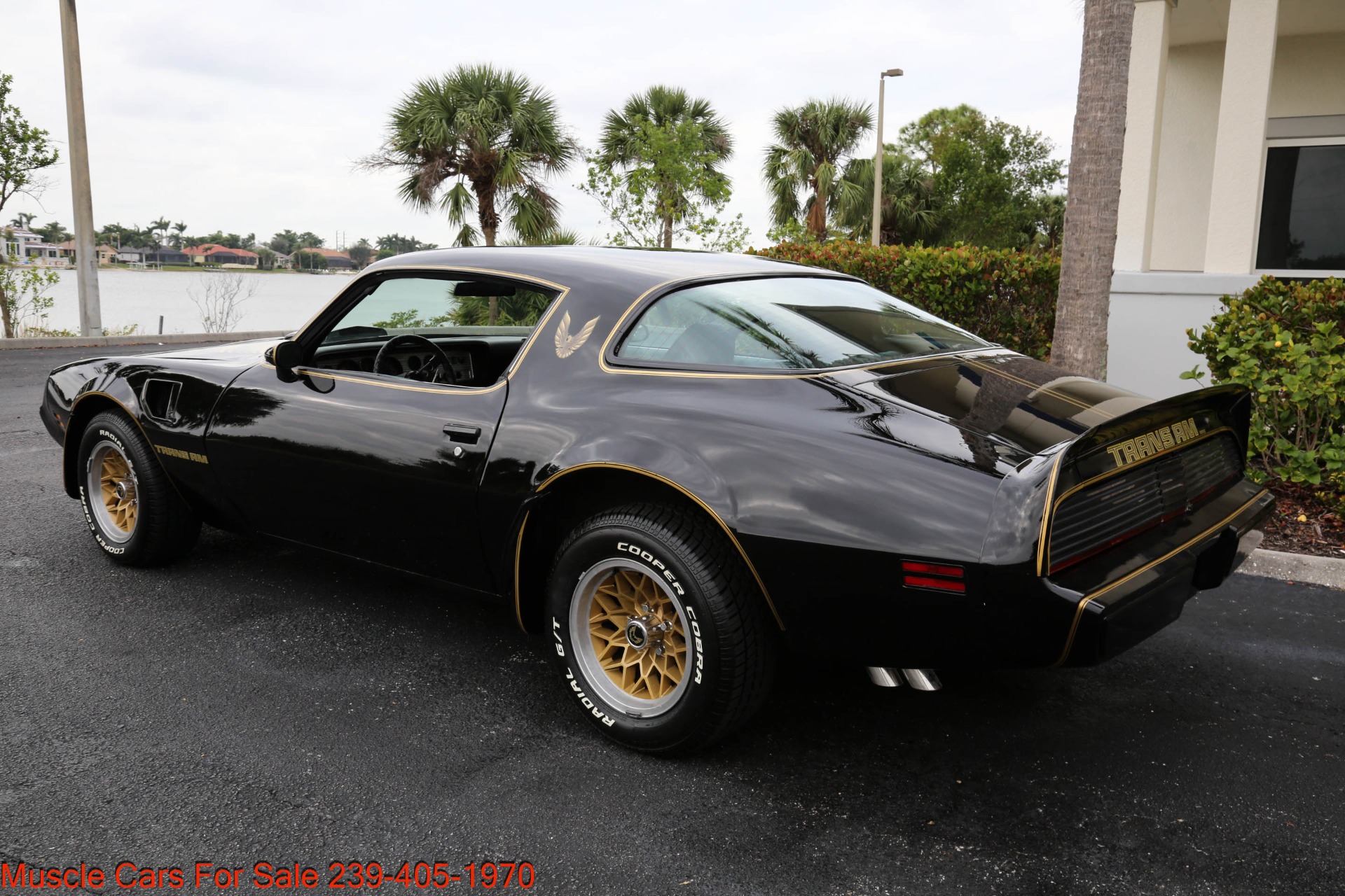 Used 1979 Pontiac TRANS AM 6.6 4 Speed manual for sale Sold at Muscle Cars for Sale Inc. in Fort Myers FL 33912 7