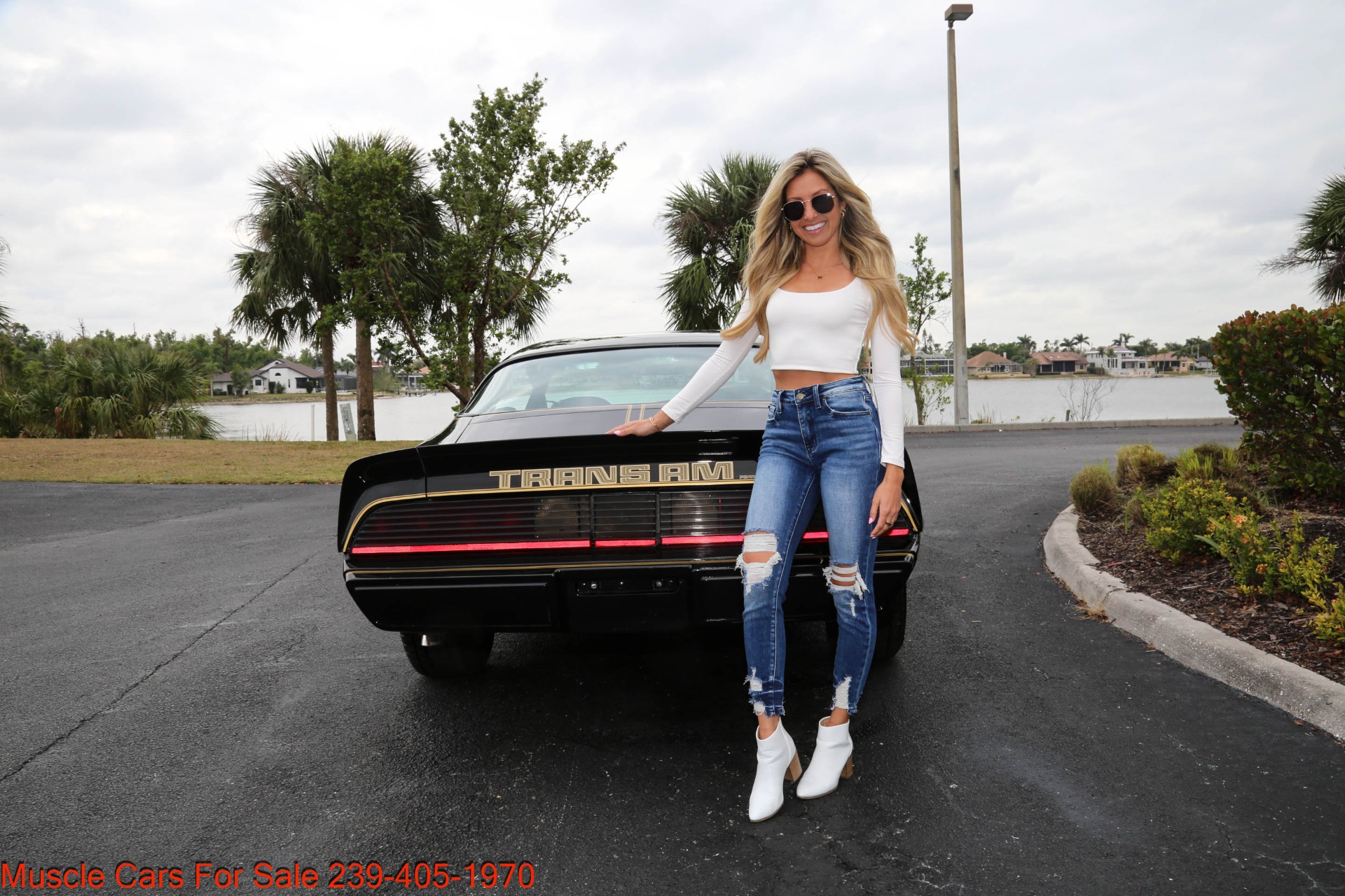 Used 1979 Pontiac TRANS AM 6.6 4 Speed manual for sale Sold at Muscle Cars for Sale Inc. in Fort Myers FL 33912 8
