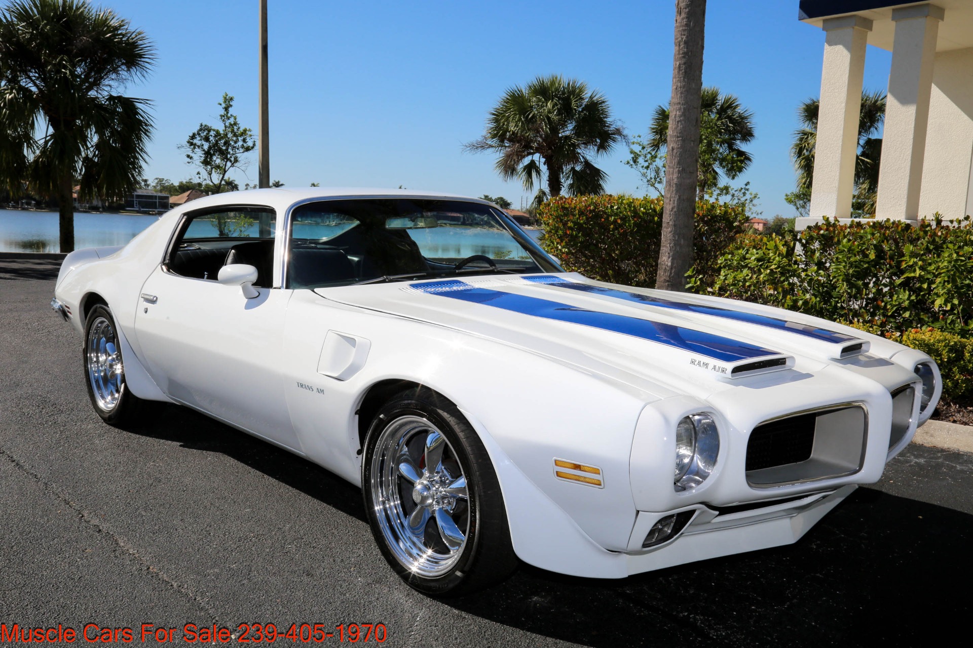 Used 1970 Pontiac Firebird Formula Trim 400 for sale Sold at Muscle Cars for Sale Inc. in Fort Myers FL 33912 3