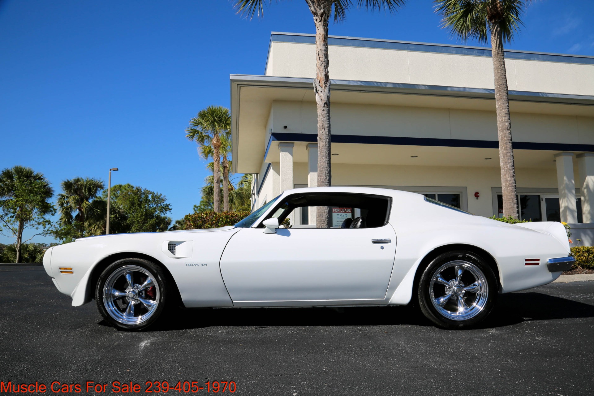 Used 1970 Pontiac Firebird Formula Trim 400 for sale Sold at Muscle Cars for Sale Inc. in Fort Myers FL 33912 5