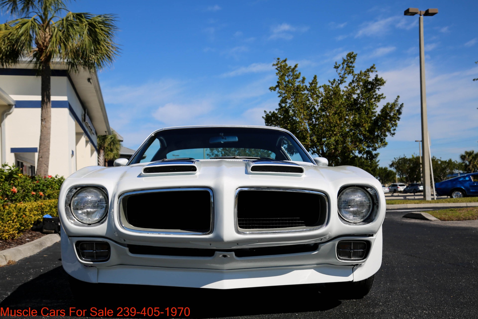 Used 1970 Pontiac Firebird Formula Trim 400 for sale Sold at Muscle Cars for Sale Inc. in Fort Myers FL 33912 6