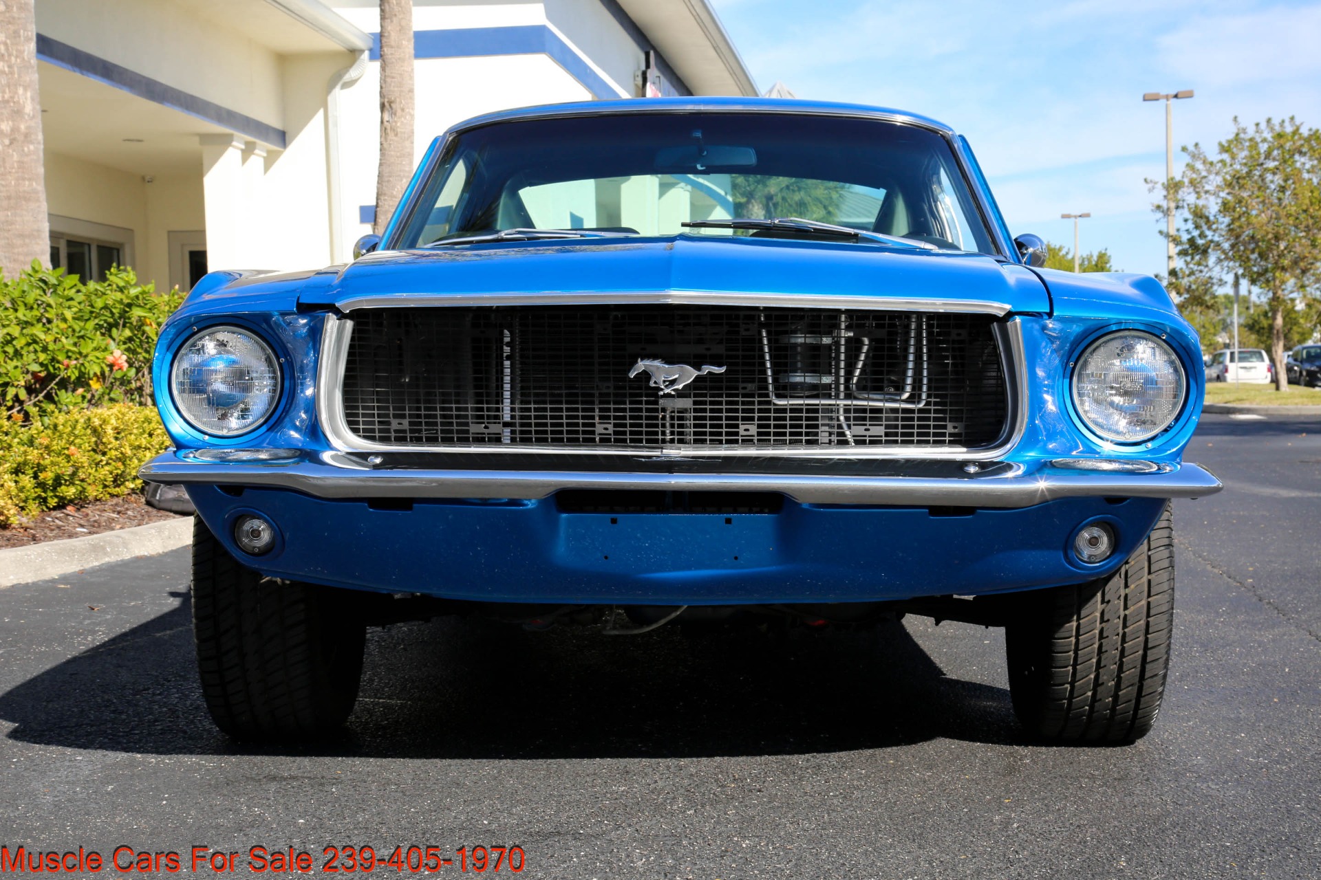 Used 1968 Ford Mustang Fastback for sale Sold at Muscle Cars for Sale Inc. in Fort Myers FL 33912 3