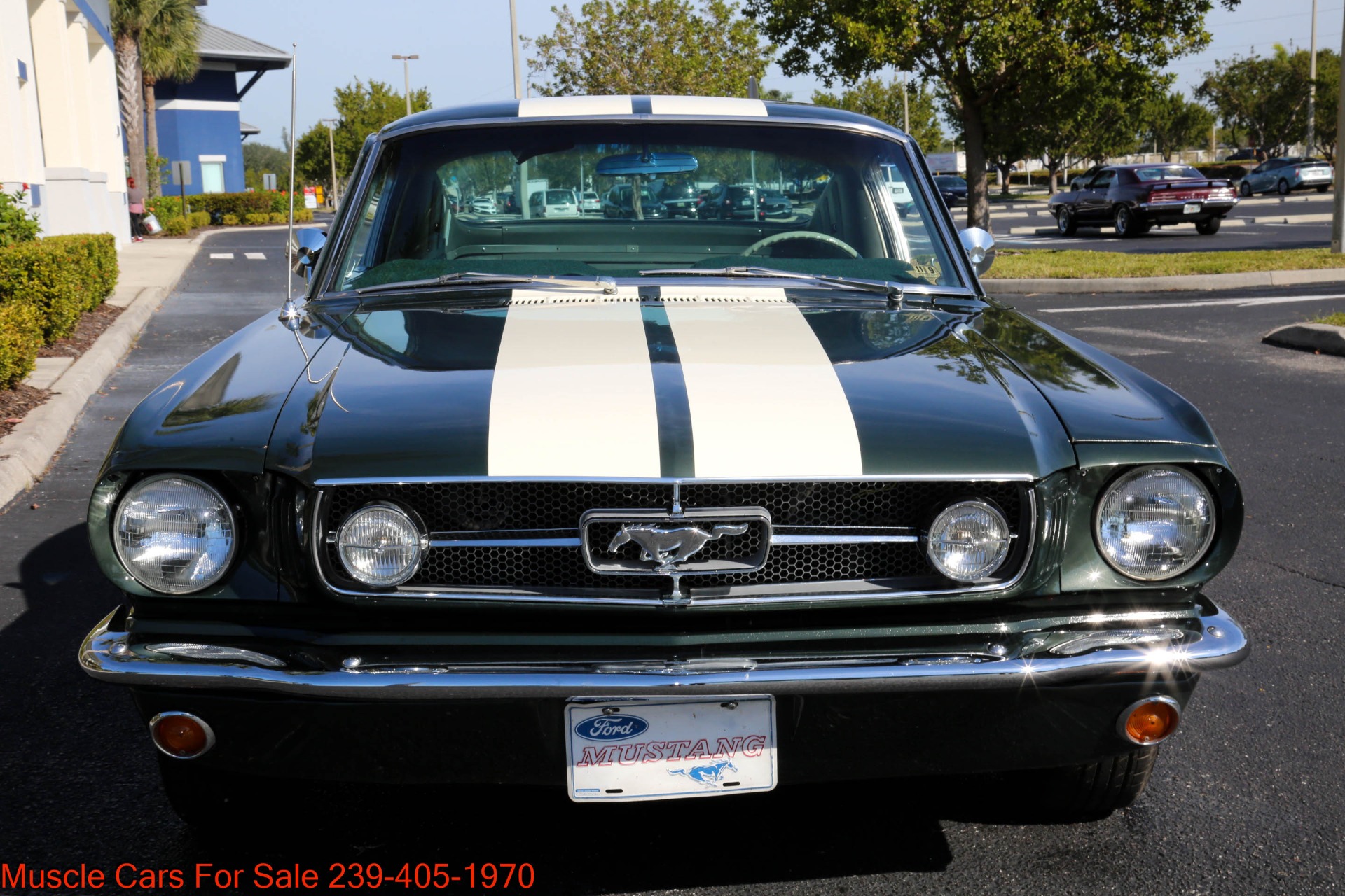 Used 1965 Ford Mustang A Code GT for sale Sold at Muscle Cars for Sale Inc. in Fort Myers FL 33912 2