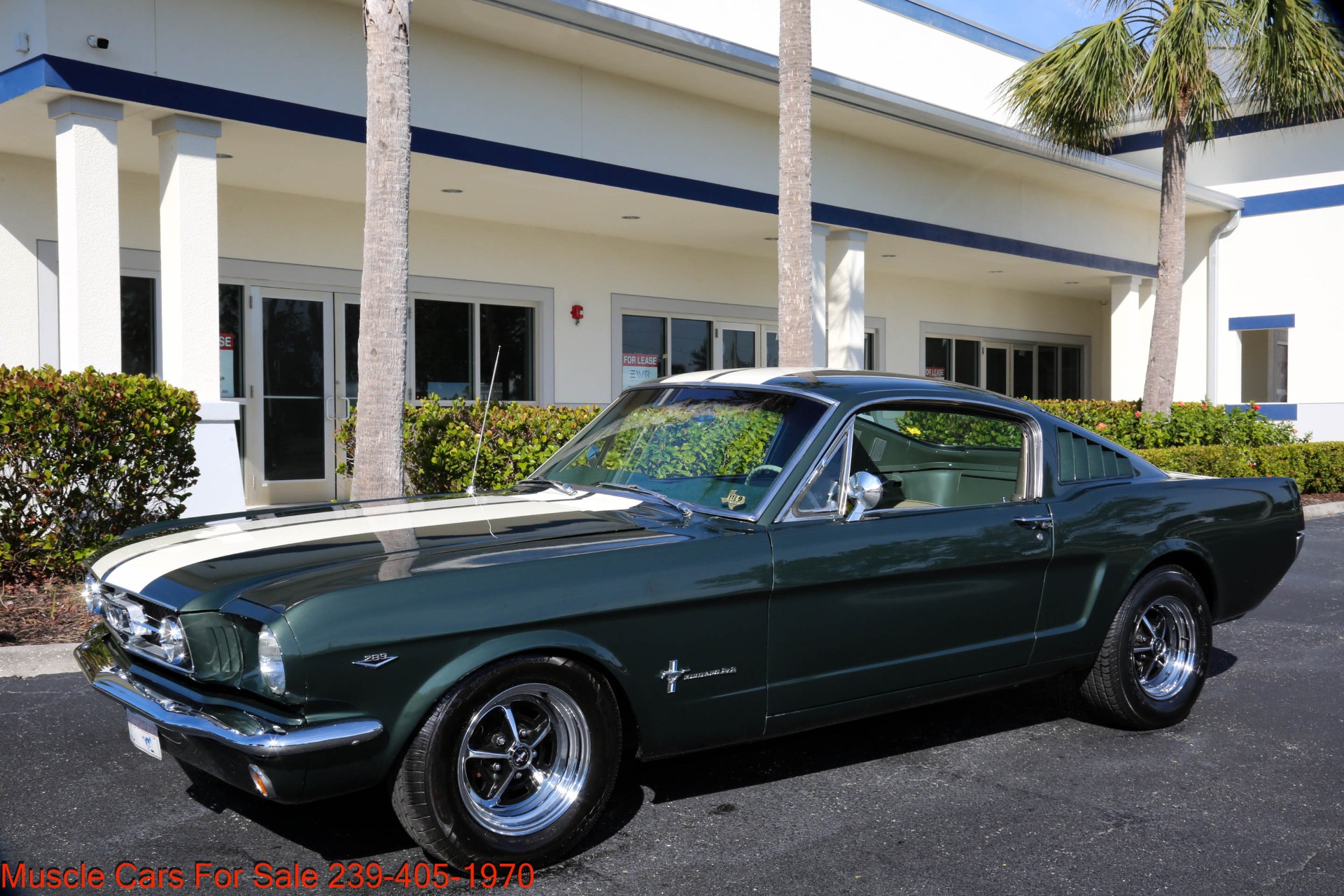 Used 1965 Ford Mustang A Code GT for sale Sold at Muscle Cars for Sale Inc. in Fort Myers FL 33912 3