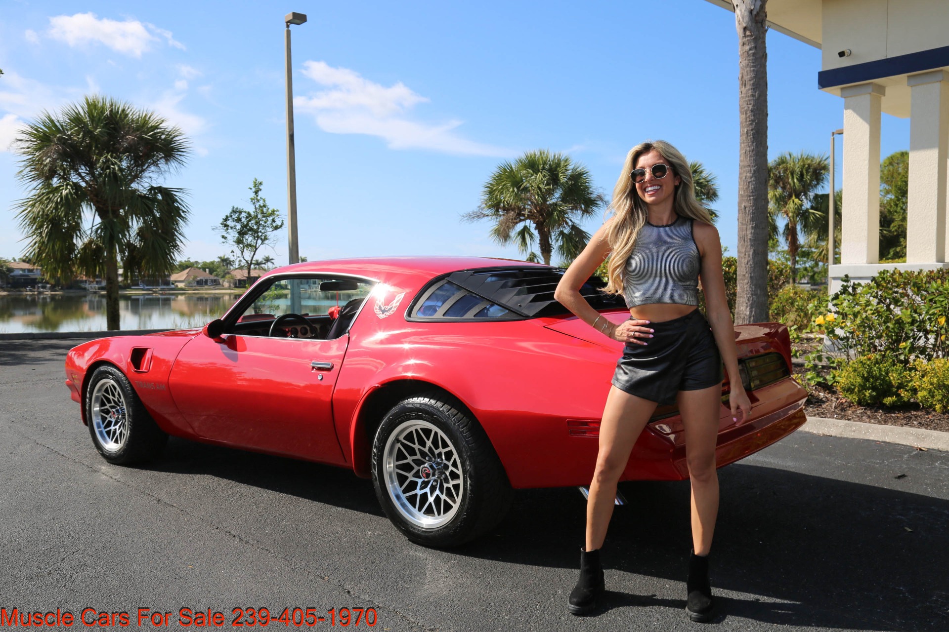 Used 1976 Pontiac Trans Am 6.6 for sale Sold at Muscle Cars for Sale Inc. in Fort Myers FL 33912 3