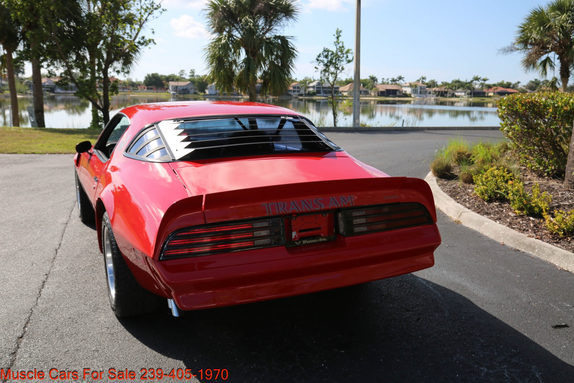 Used 1976 Pontiac Trans Am 6.6 for sale Sold at Muscle Cars for Sale Inc. in Fort Myers FL 33912 4