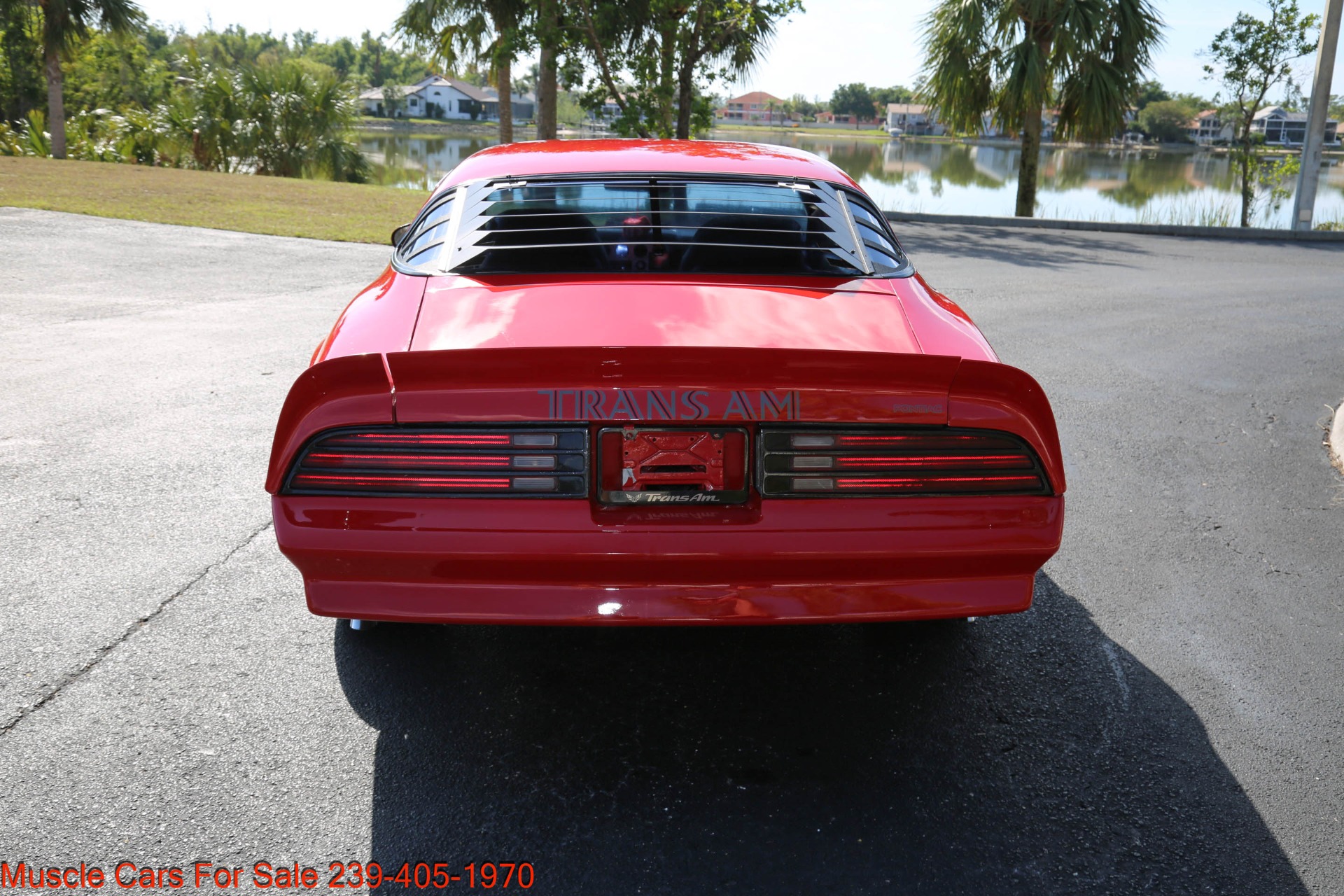 Used 1976 Pontiac Trans Am 6.6 for sale Sold at Muscle Cars for Sale Inc. in Fort Myers FL 33912 5