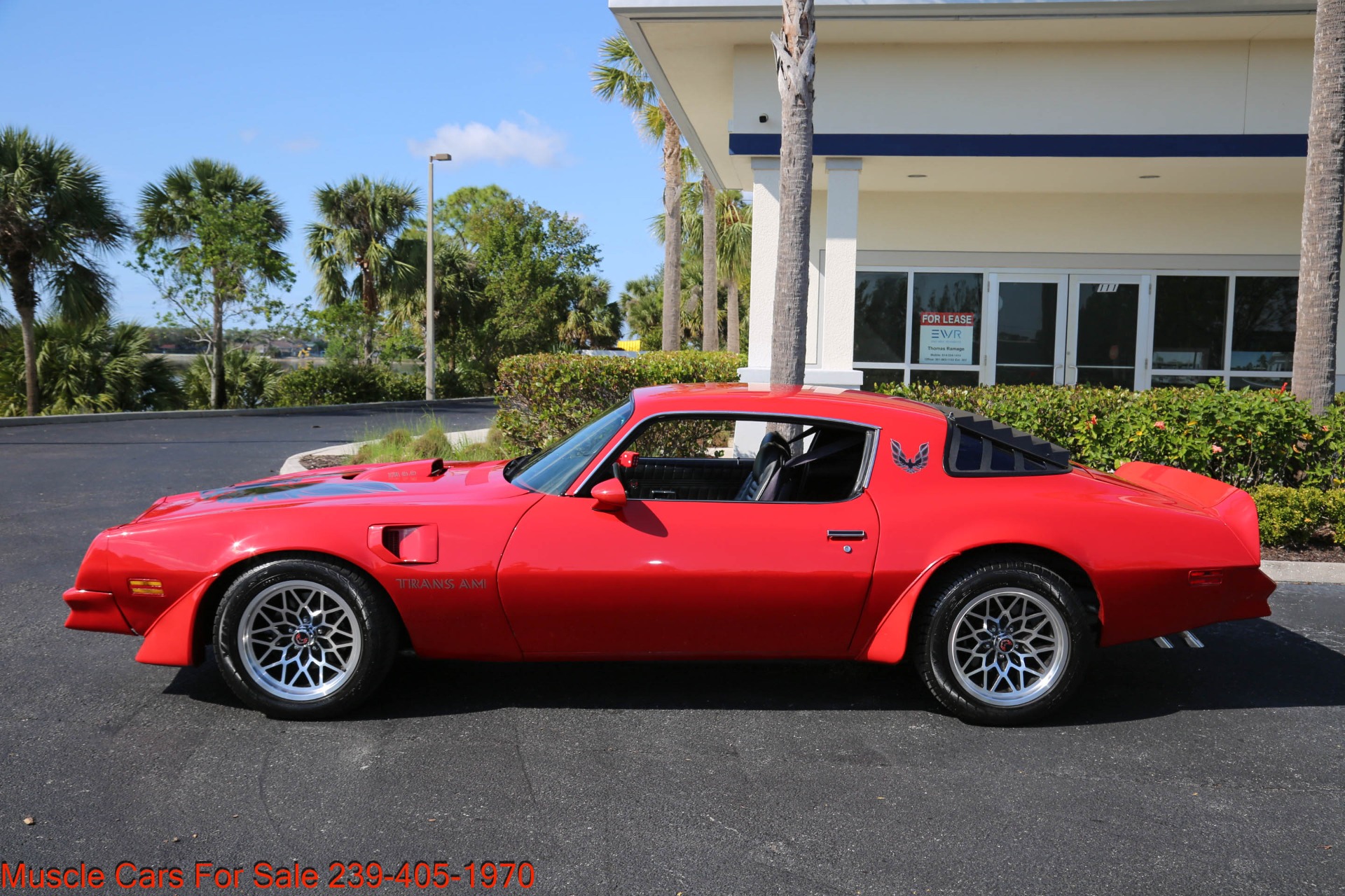 Used 1976 Pontiac Trans Am 6.6 for sale Sold at Muscle Cars for Sale Inc. in Fort Myers FL 33912 6