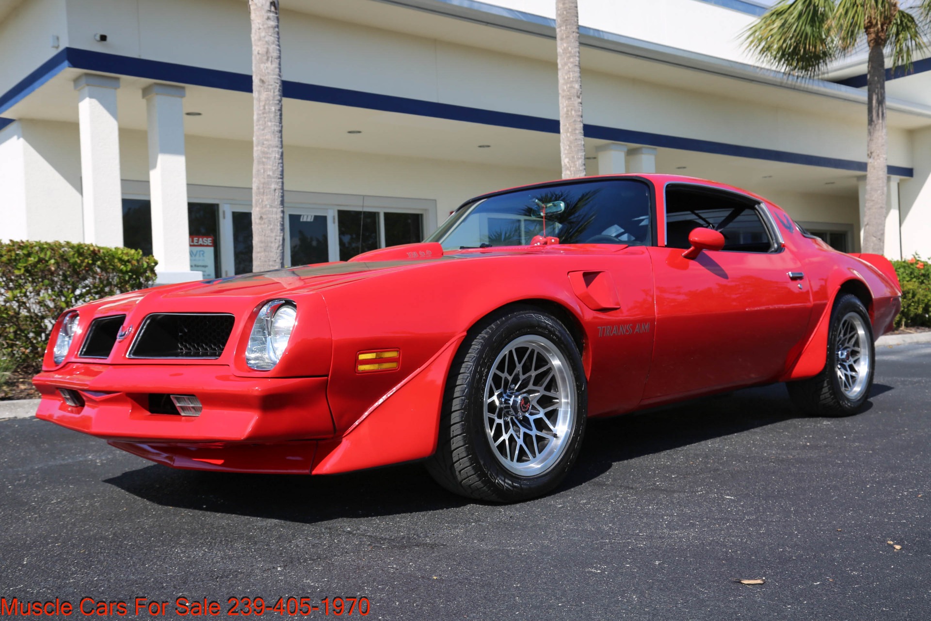 Used 1976 Pontiac Trans Am 6.6 for sale Sold at Muscle Cars for Sale Inc. in Fort Myers FL 33912 7