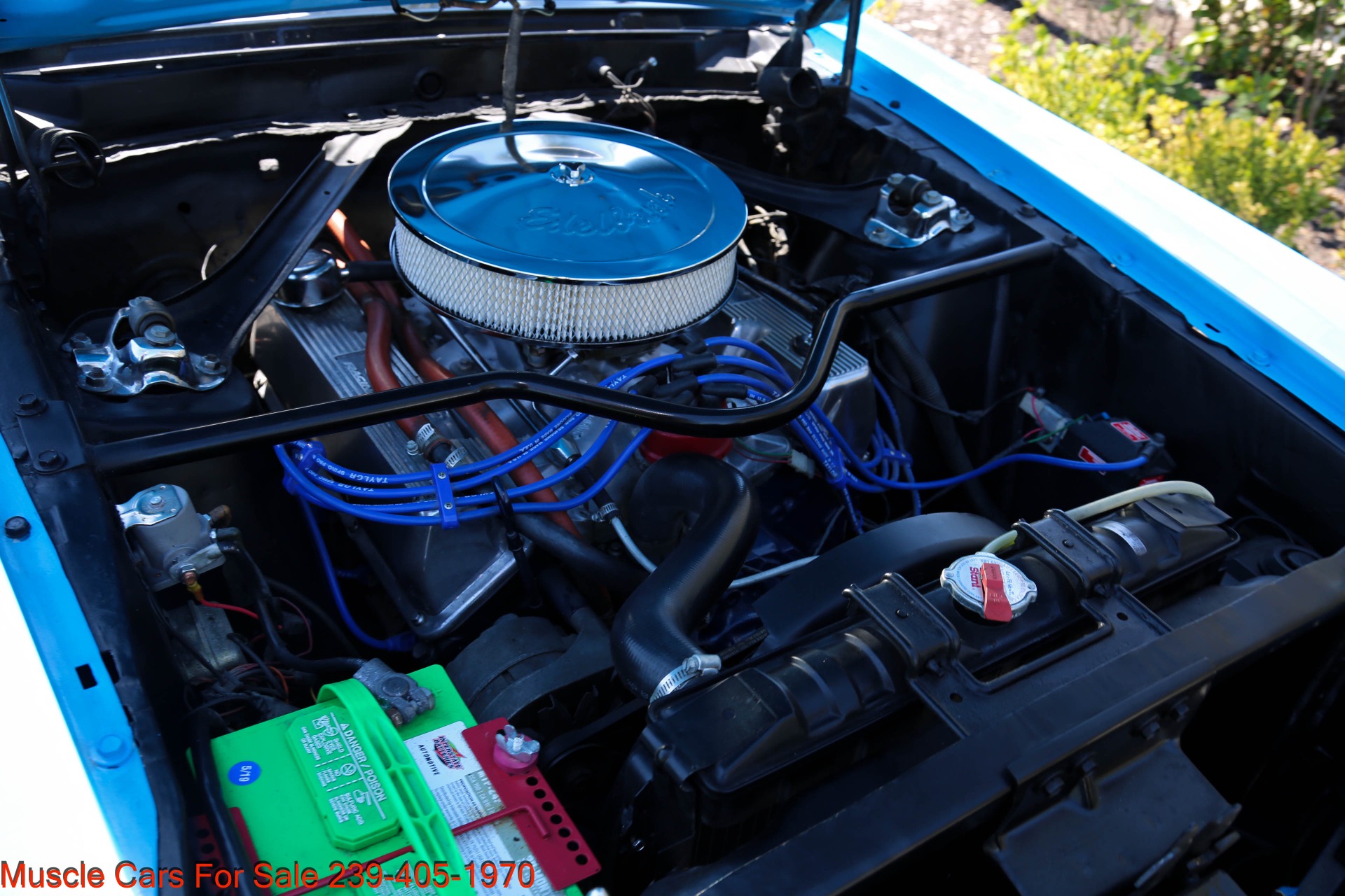 Used 1969 Ford Mustang Fastback for sale Sold at Muscle Cars for Sale Inc. in Fort Myers FL 33912 4
