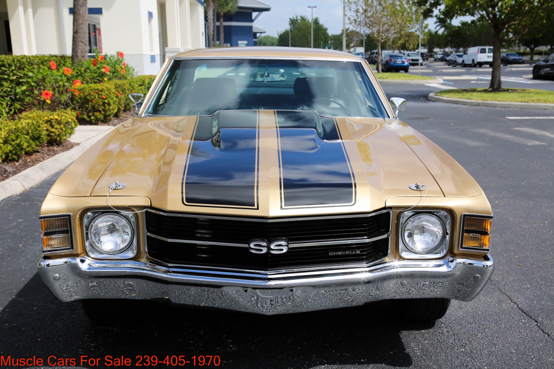 Used 1971 Chevrolet Chevelle SS SS 454 4 speed Manual for sale Sold at Muscle Cars for Sale Inc. in Fort Myers FL 33912 2
