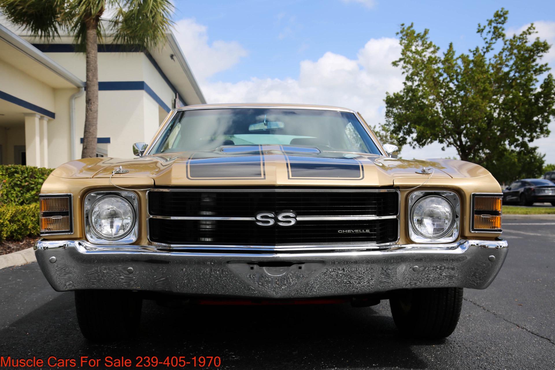 Used 1971 Chevrolet Chevelle SS SS 454 4 speed Manual for sale Sold at Muscle Cars for Sale Inc. in Fort Myers FL 33912 3
