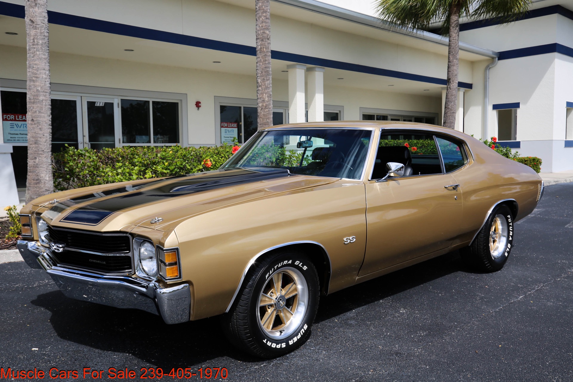 Used 1971 Chevrolet Chevelle SS SS 454 4 speed Manual for sale Sold at Muscle Cars for Sale Inc. in Fort Myers FL 33912 4