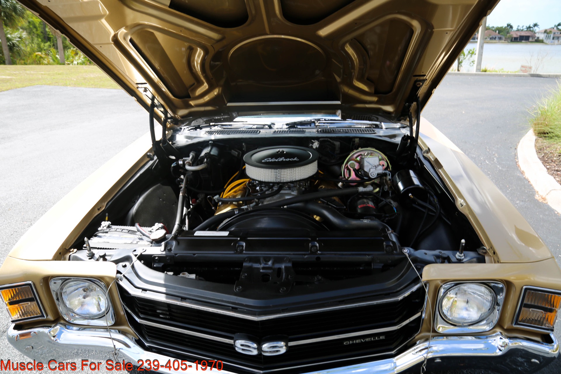 Used 1971 Chevrolet Chevelle SS SS 454 4 speed Manual for sale Sold at Muscle Cars for Sale Inc. in Fort Myers FL 33912 6