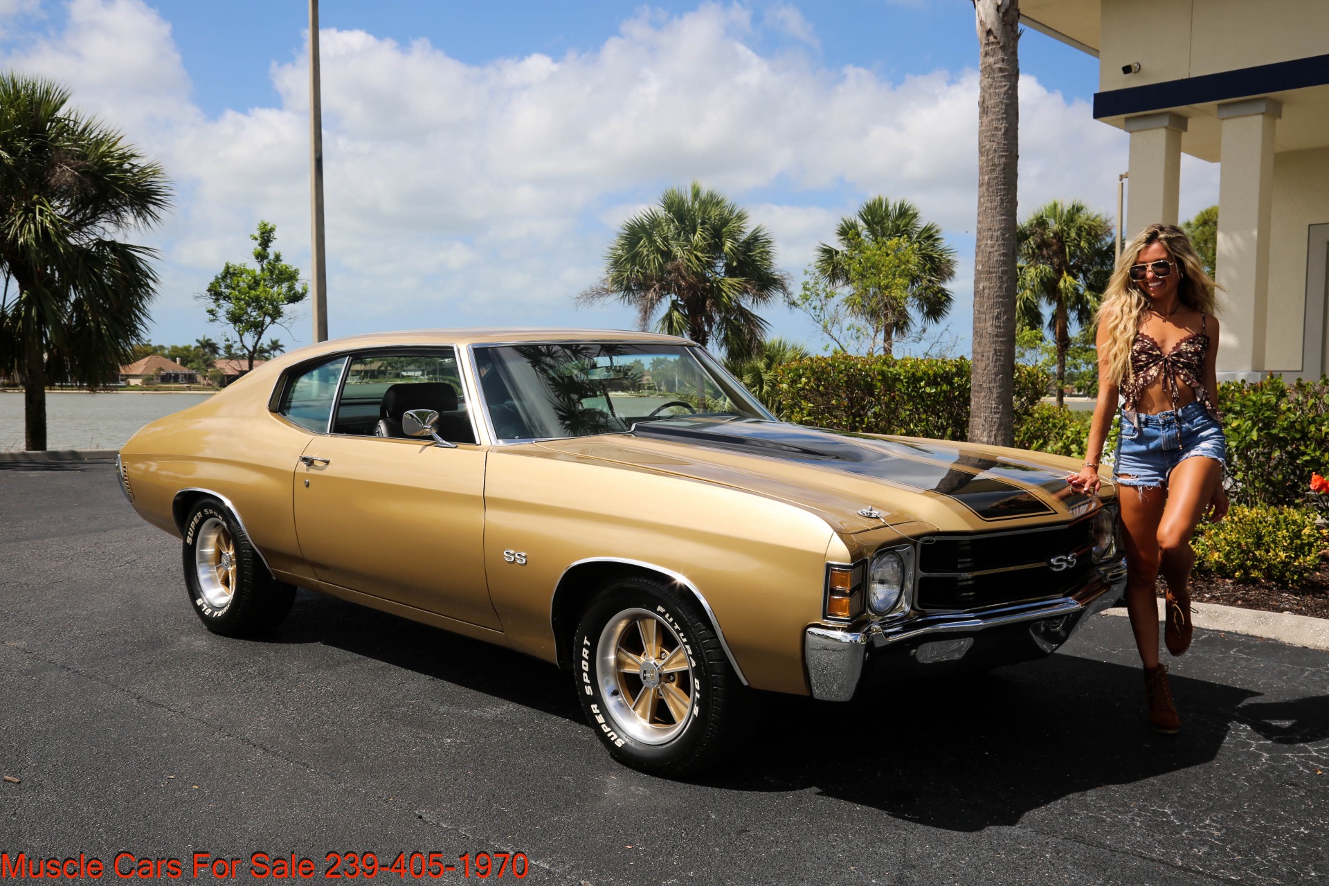 Used 1971 Chevrolet Chevelle SS SS 454 4 speed Manual for sale Sold at Muscle Cars for Sale Inc. in Fort Myers FL 33912 7