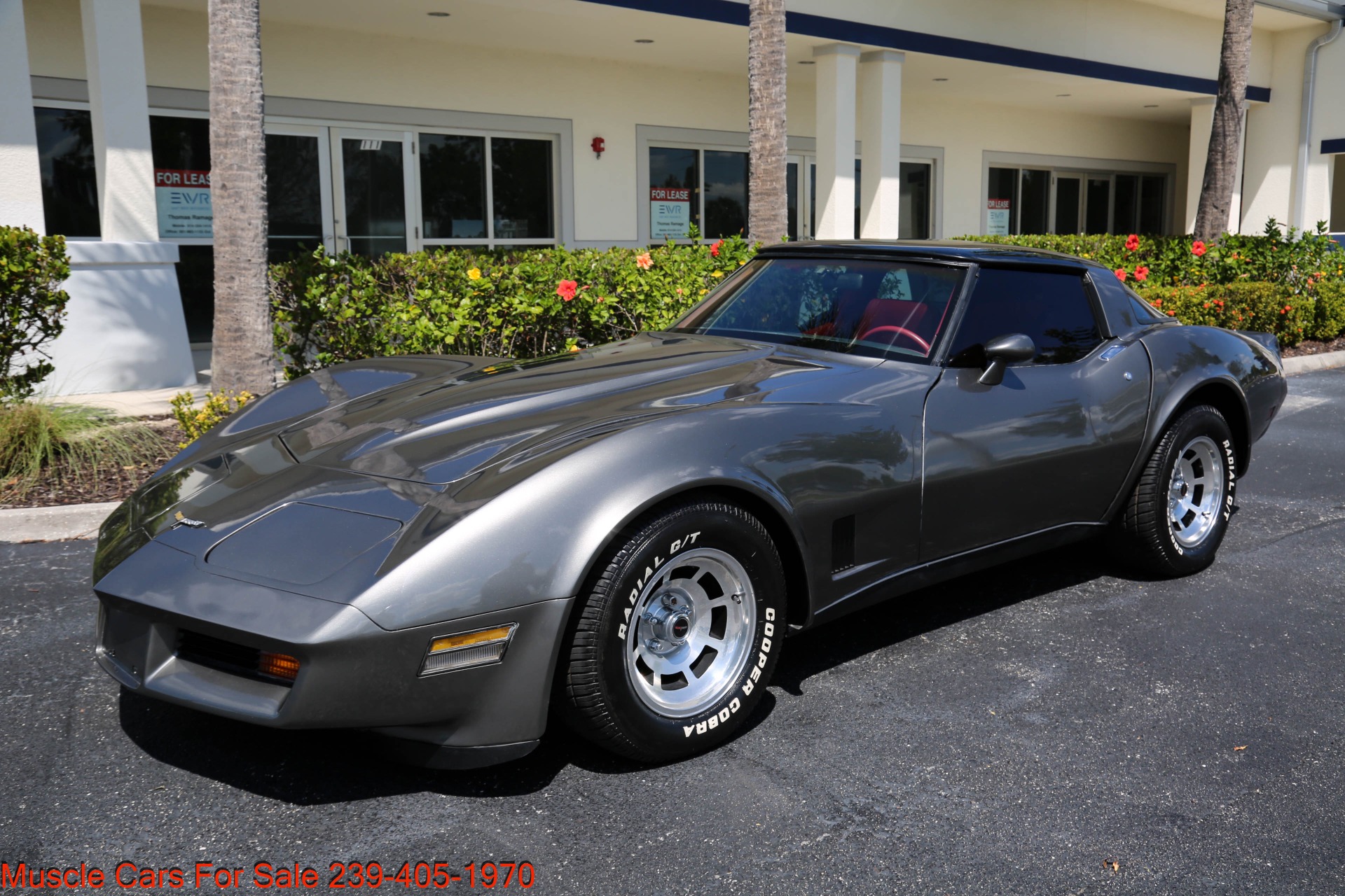 Used 1981 Chevrolet Corvette T Top for sale $23,000 at Muscle Cars for Sale Inc. in Fort Myers FL 33912 8