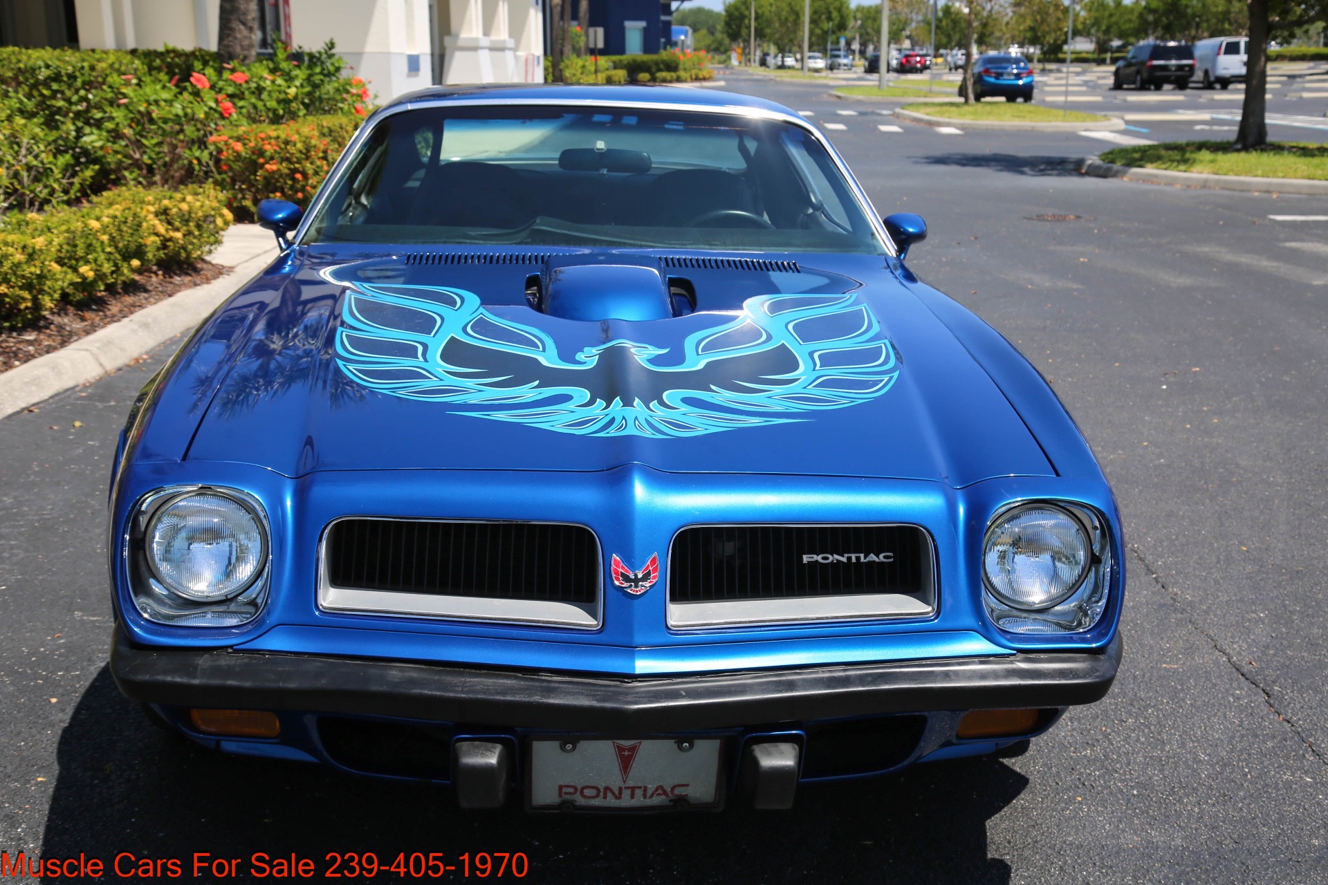 Used 1974 Pontiac Trans Am for sale $35,400 at Muscle Cars for Sale Inc. in Fort Myers FL 33912 2