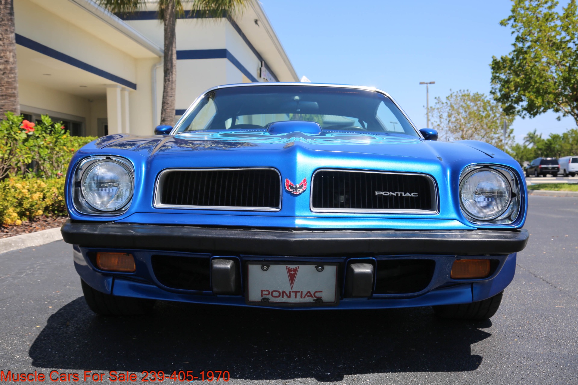 Used 1974 Pontiac Trans Am for sale $35,400 at Muscle Cars for Sale Inc. in Fort Myers FL 33912 3