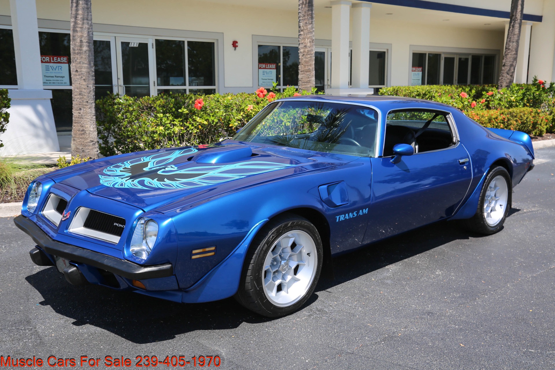 Used 1974 Pontiac Trans Am for sale $35,400 at Muscle Cars for Sale Inc. in Fort Myers FL 33912 4