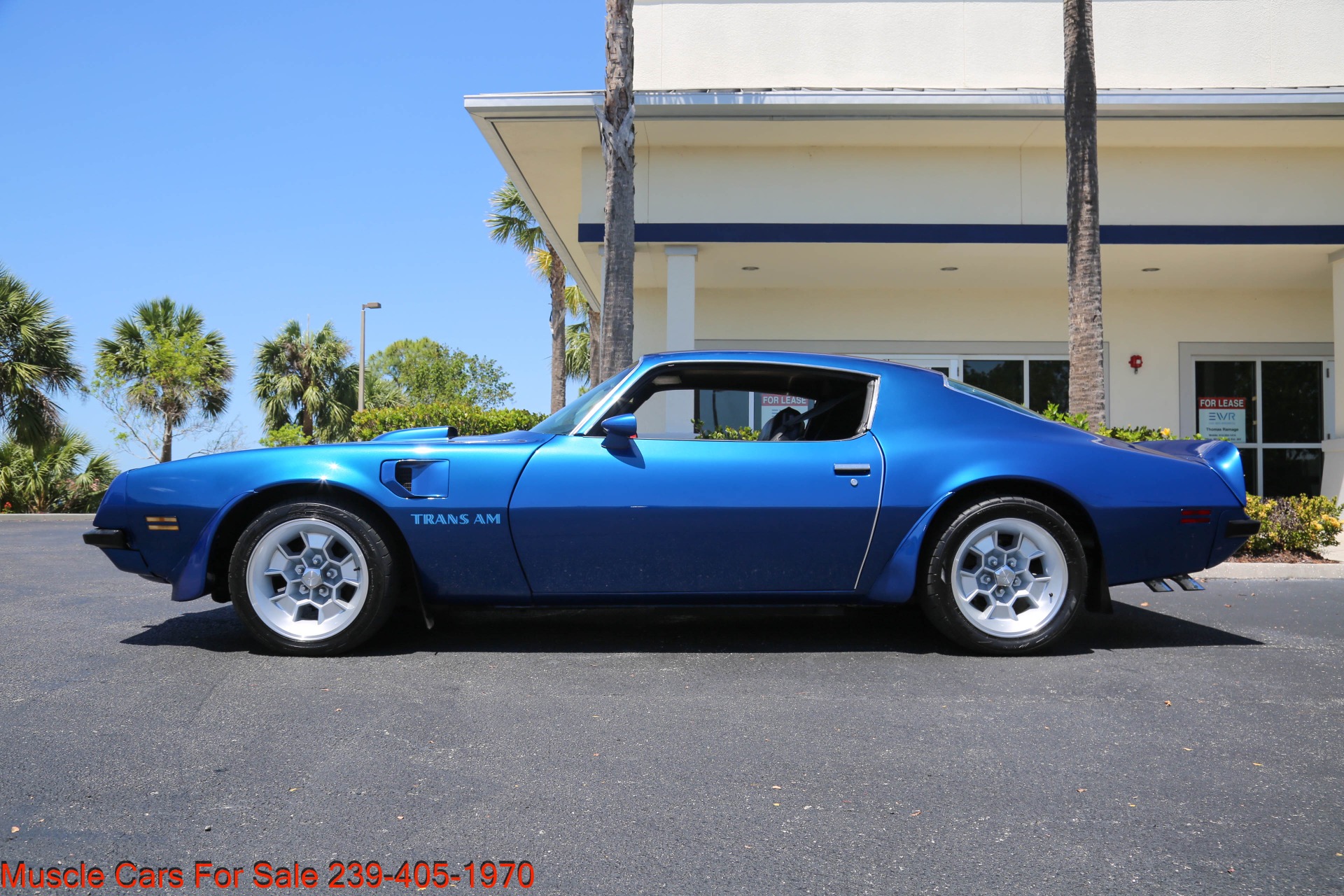 Used 1974 Pontiac Trans Am for sale $35,400 at Muscle Cars for Sale Inc. in Fort Myers FL 33912 5