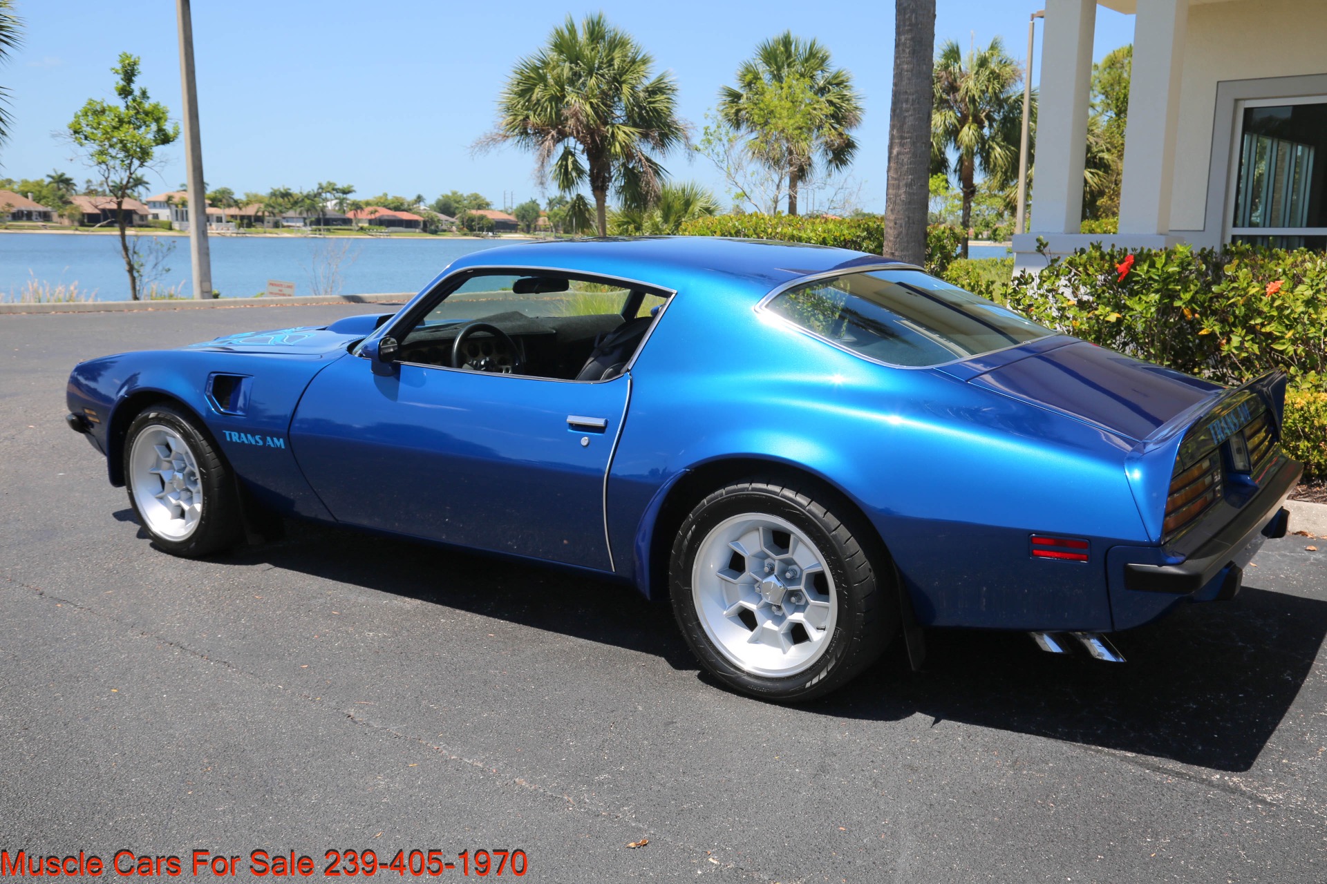 Used 1974 Pontiac Trans Am for sale $35,400 at Muscle Cars for Sale Inc. in Fort Myers FL 33912 6