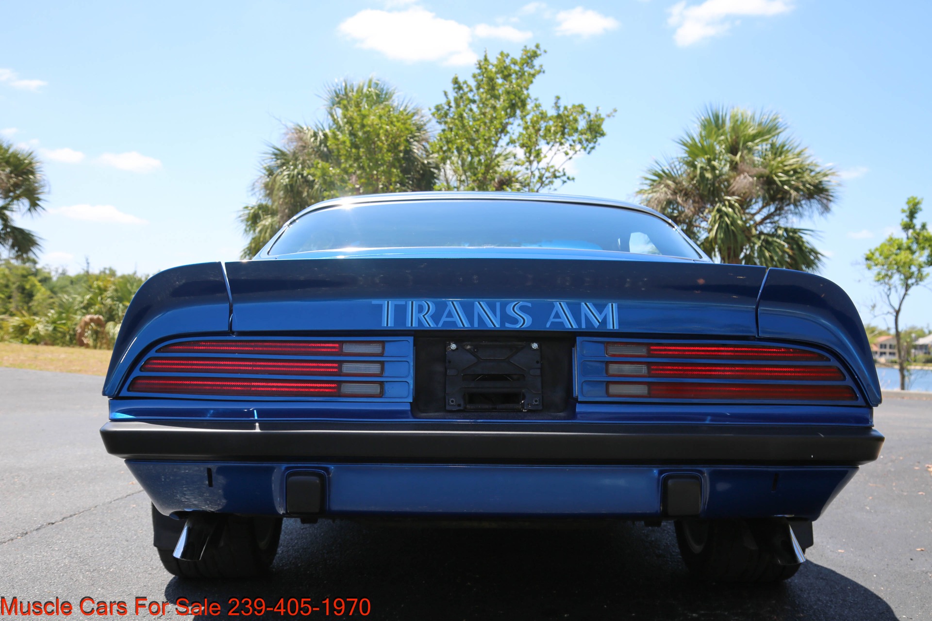 Used 1974 Pontiac Trans Am for sale $35,400 at Muscle Cars for Sale Inc. in Fort Myers FL 33912 8
