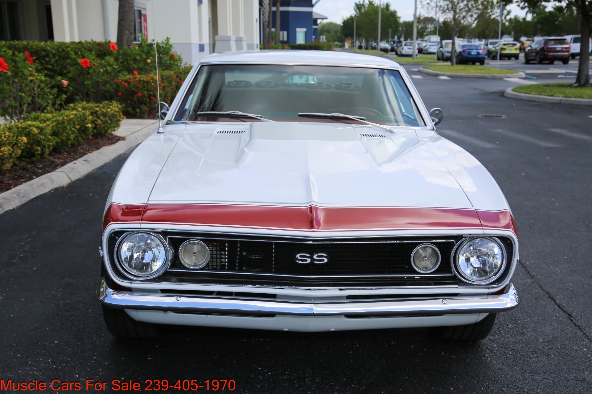 Used 1967 Chevrolet Camaro for sale $42,000 at Muscle Cars for Sale Inc. in Fort Myers FL 33912 7