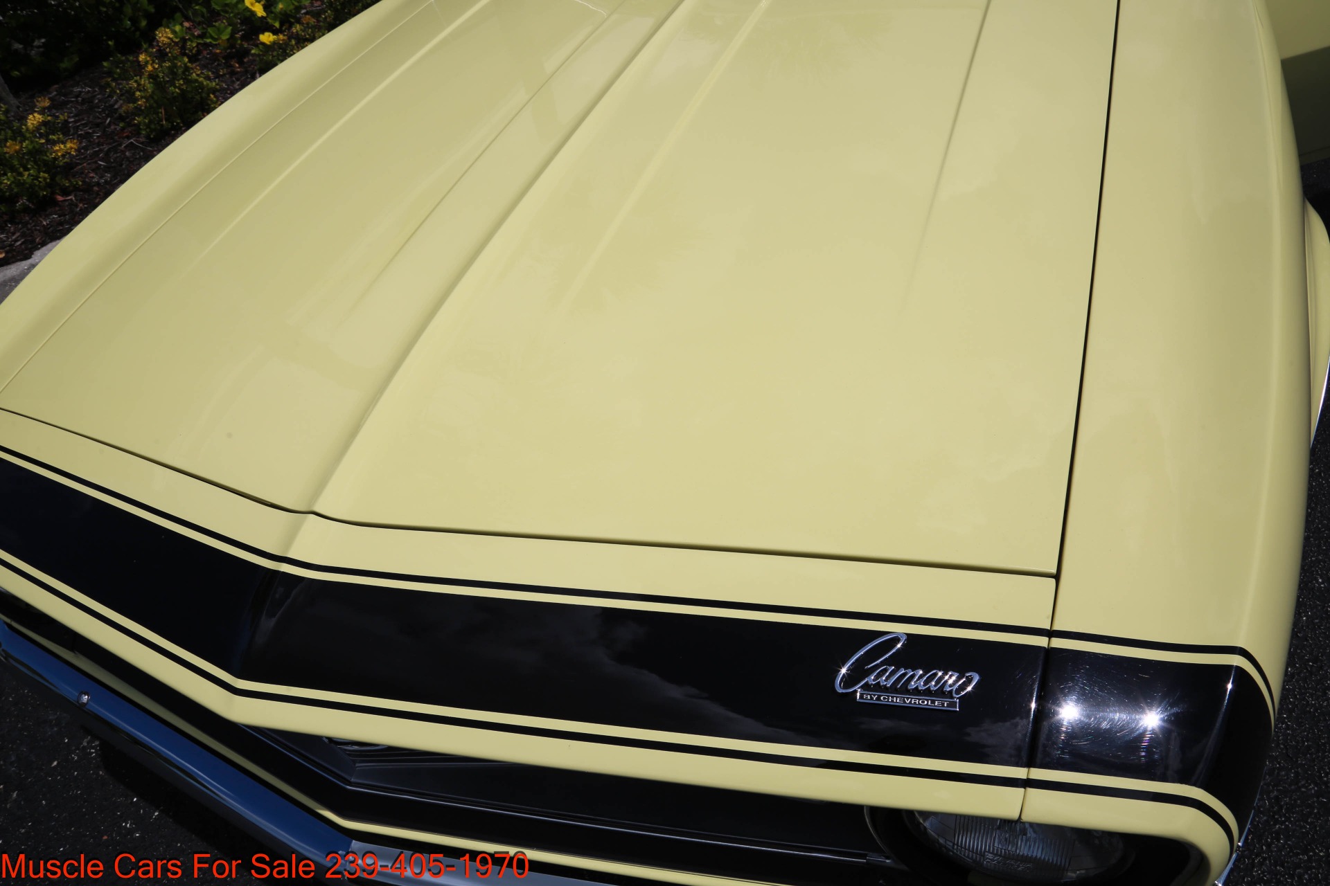 Used 1968 Chevrolet Camaro V8 Auto for sale Sold at Muscle Cars for Sale Inc. in Fort Myers FL 33912 7
