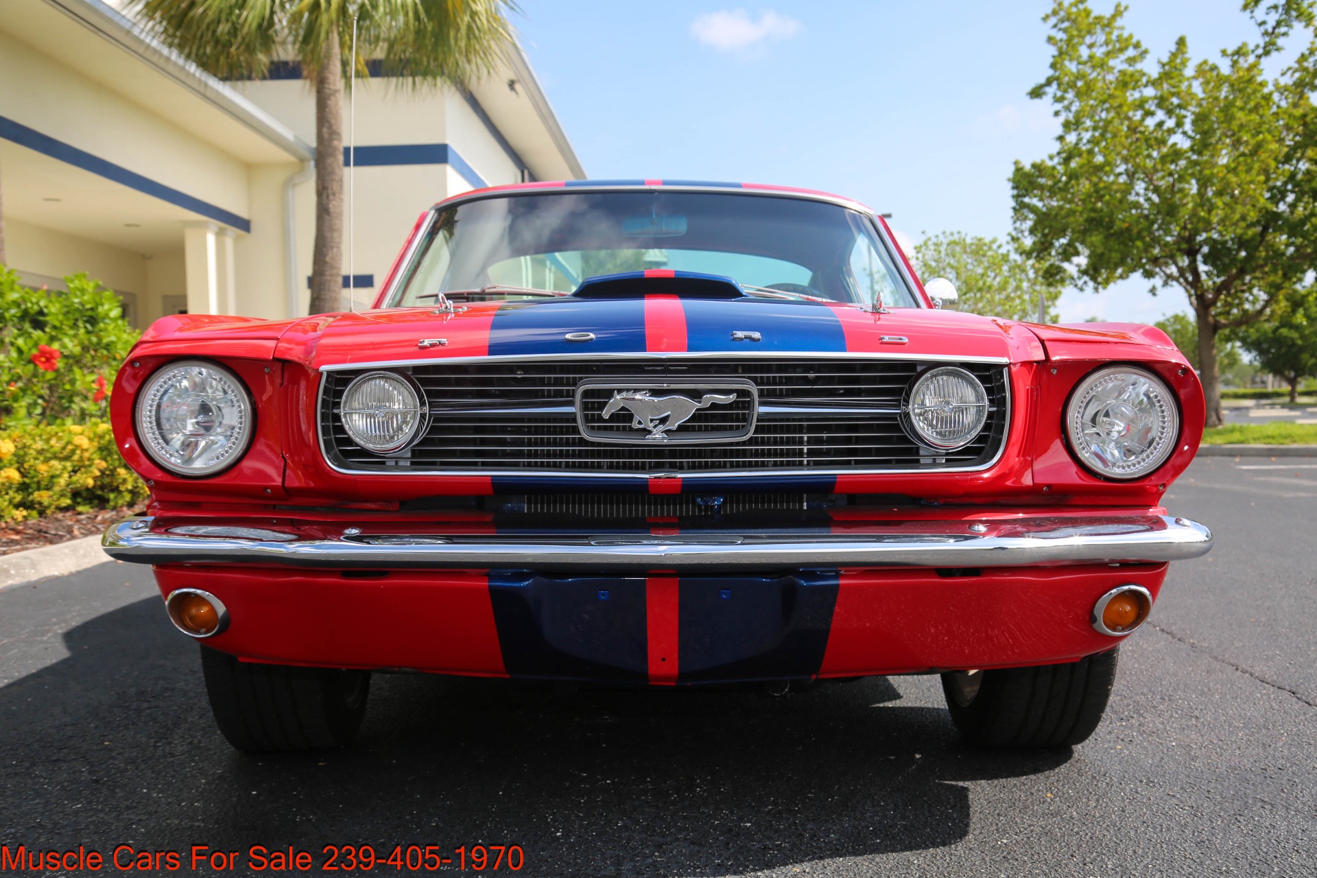 Used 1966 Ford Mustang Fastback for sale $48,500 at Muscle Cars for Sale Inc. in Fort Myers FL 33912 3