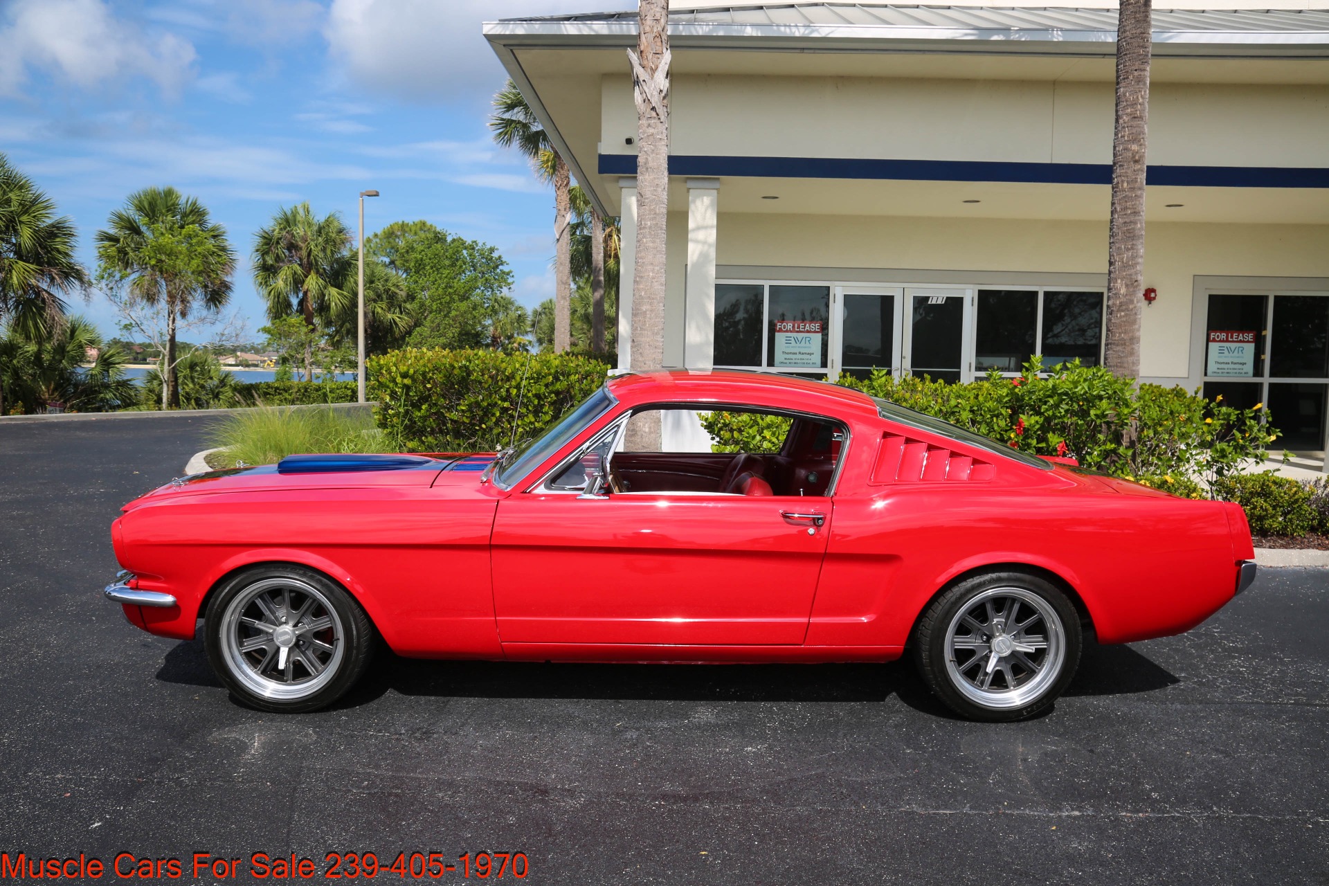 Used 1966 Ford Mustang Fastback for sale $48,500 at Muscle Cars for Sale Inc. in Fort Myers FL 33912 5