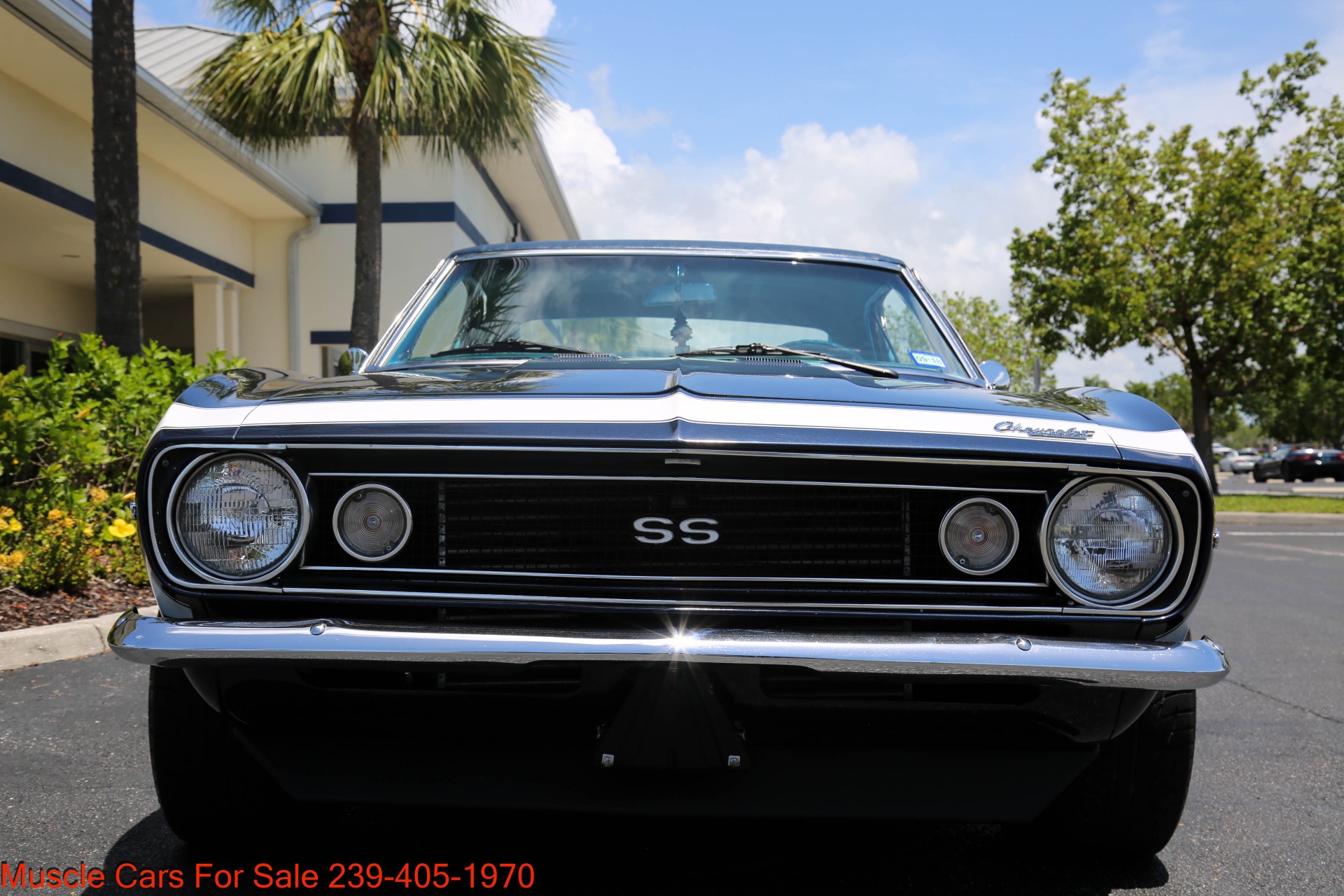 Used 1967 Chevrolet Camaro V8 Auto for sale $42,000 at Muscle Cars for Sale Inc. in Fort Myers FL 33912 2