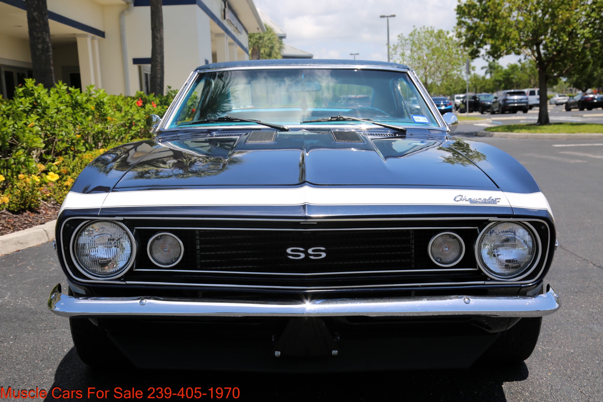 Used 1967 Chevrolet Camaro V8 Auto for sale $42,000 at Muscle Cars for Sale Inc. in Fort Myers FL 33912 3