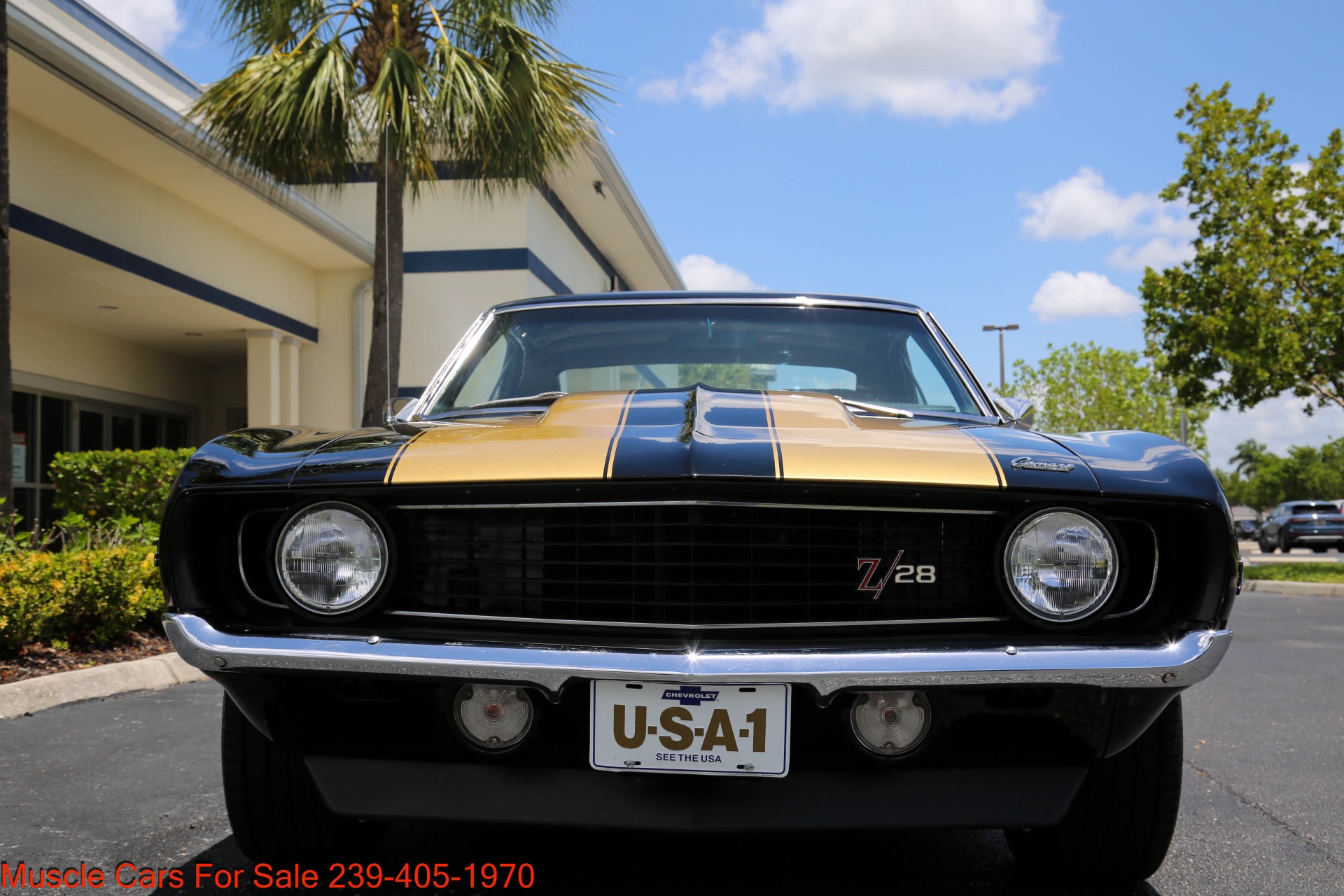 Used 1969 Chevrolet Camaro Z28 Z28 for sale Sold at Muscle Cars for Sale Inc. in Fort Myers FL 33912 8