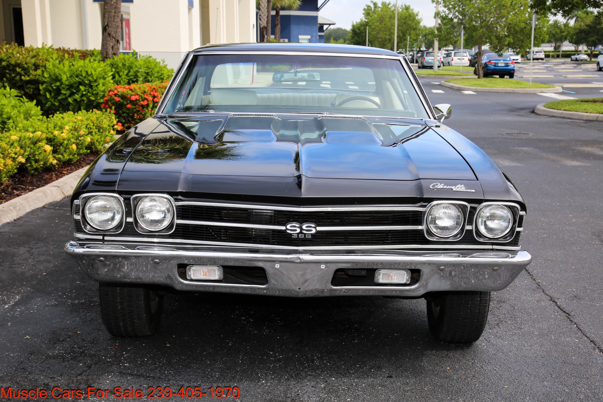 Used 1969 Chevrolet Chevelle SS for sale $46,500 at Muscle Cars for Sale Inc. in Fort Myers FL 33912 3