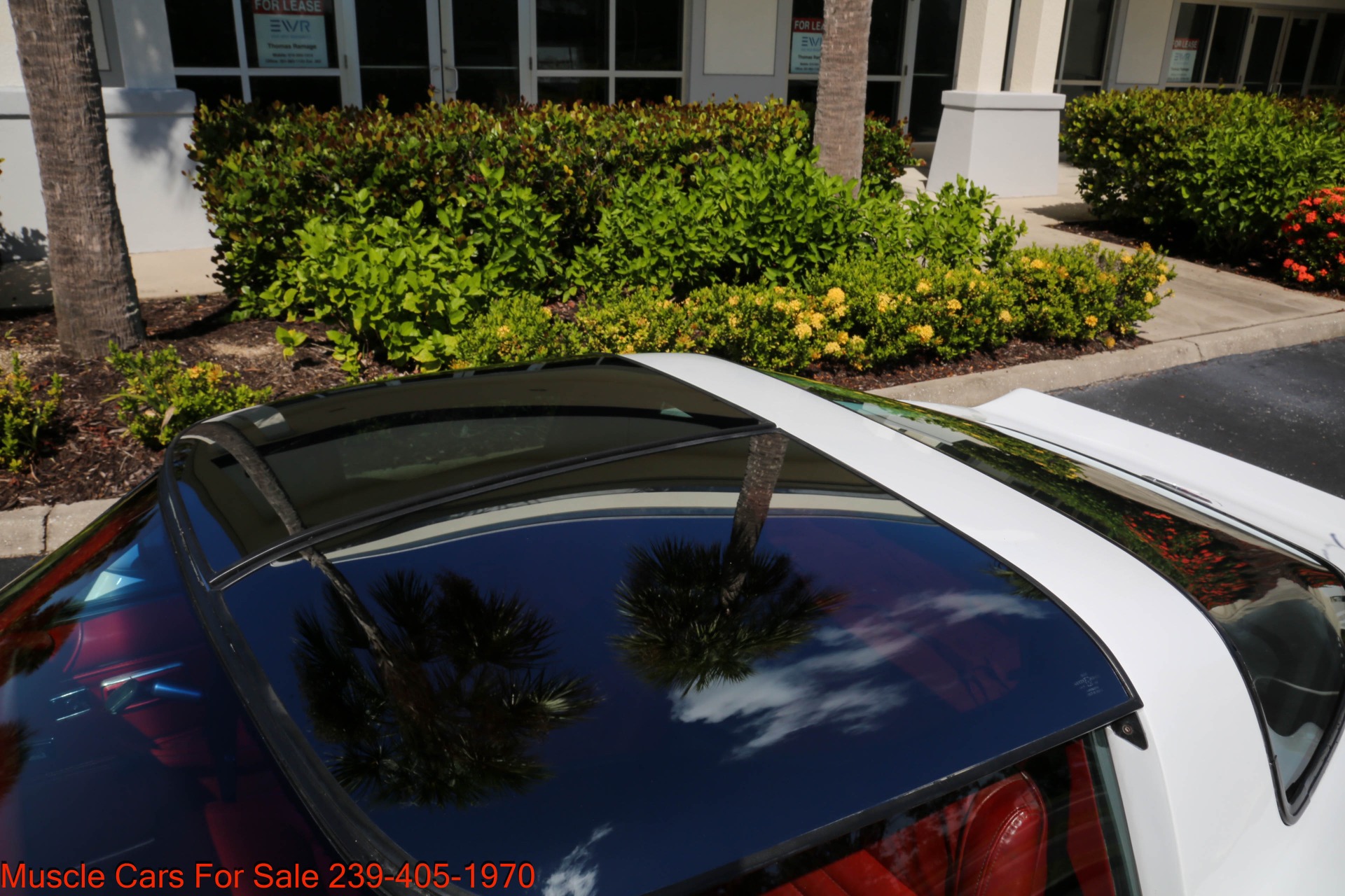 Used 1980 Chevrolet Corvette T Top for sale $21,000 at Muscle Cars for Sale Inc. in Fort Myers FL 33912 6