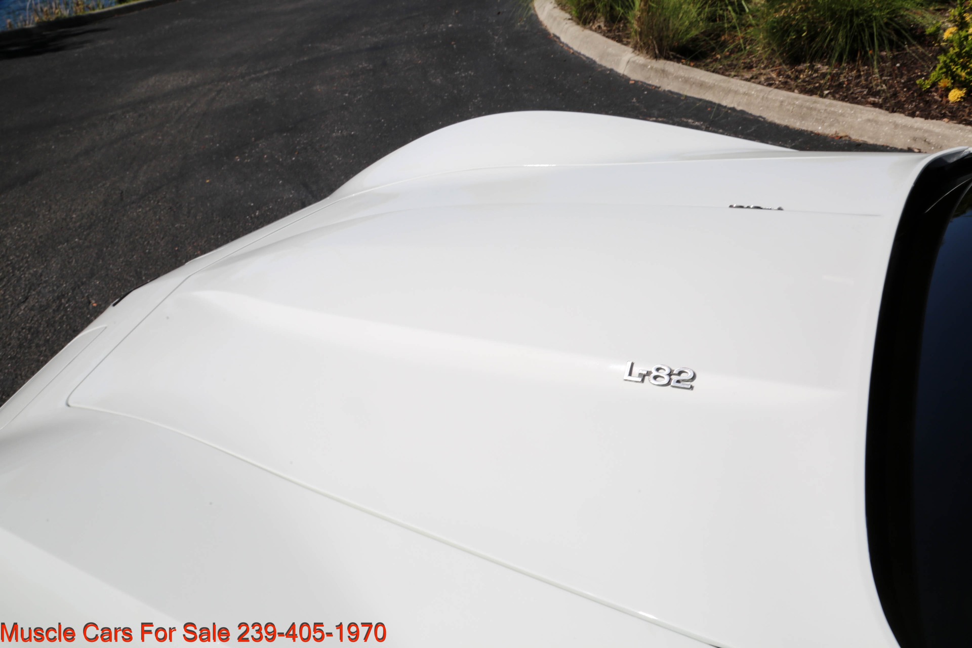 Used 1980 Chevrolet Corvette T Top for sale $21,000 at Muscle Cars for Sale Inc. in Fort Myers FL 33912 7