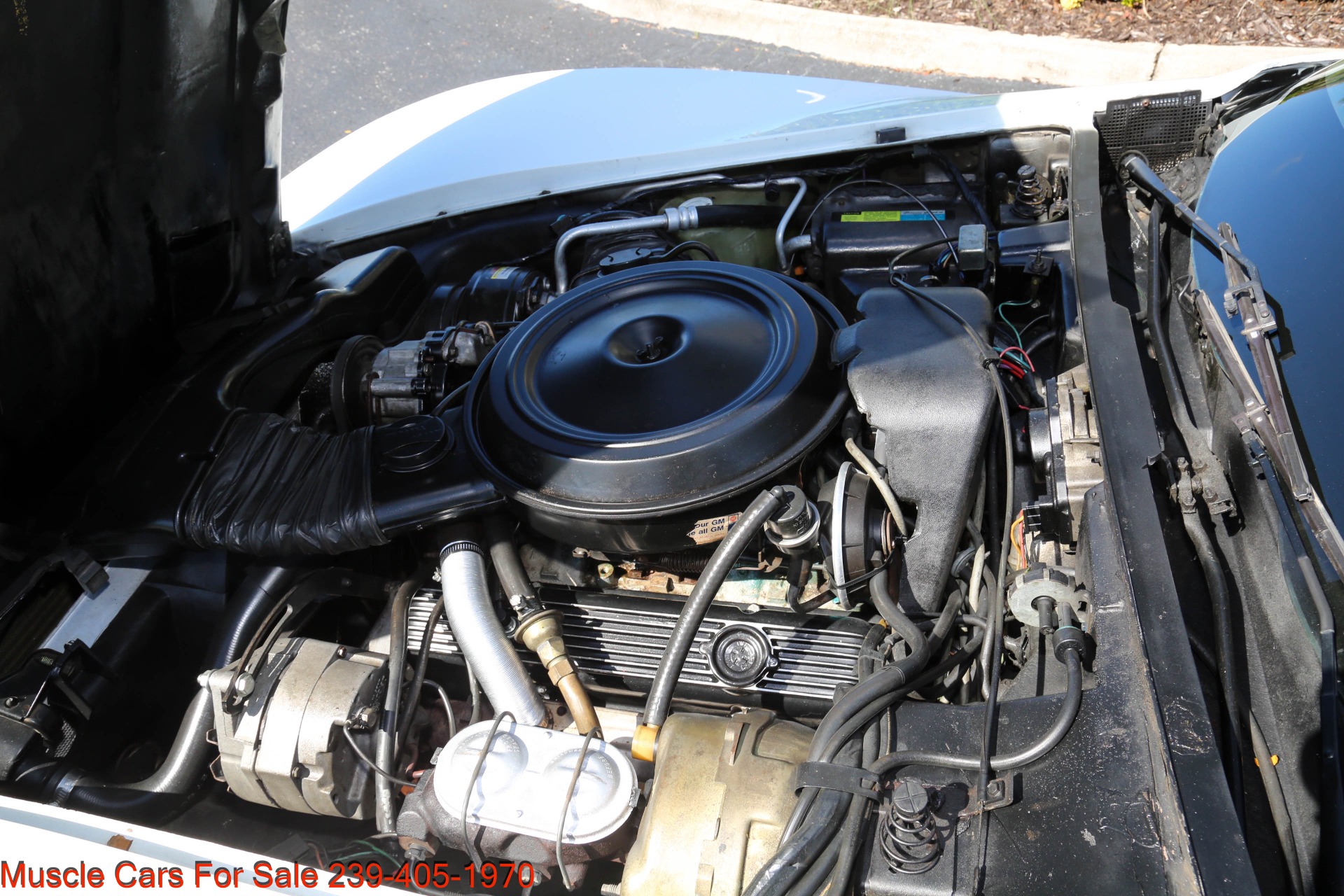 Used 1980 Chevrolet Corvette T Top for sale $21,000 at Muscle Cars for Sale Inc. in Fort Myers FL 33912 8