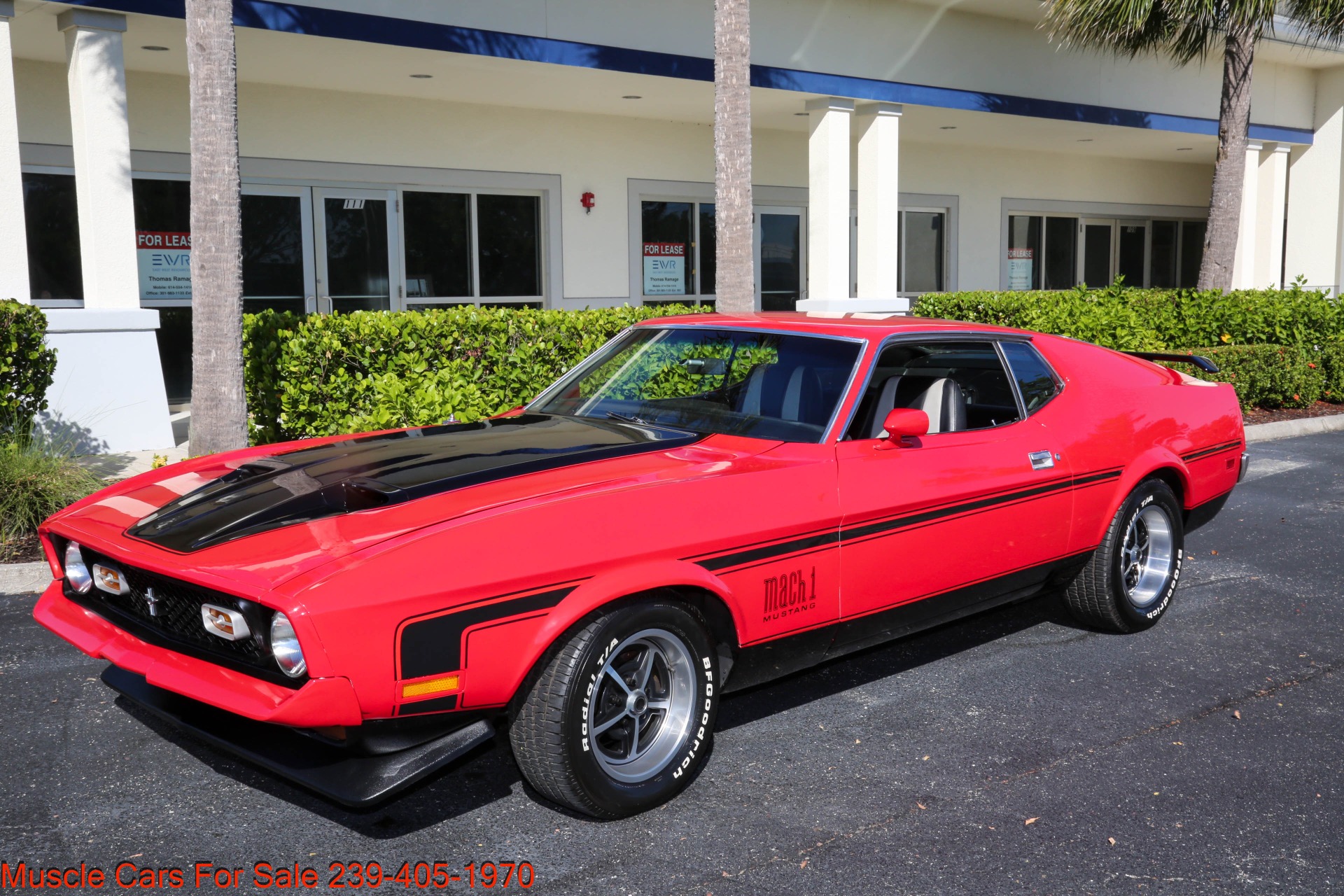 Used 1971 Ford Mustang Mach1 351 Cleveland M Code for sale $39,000 at Muscle Cars for Sale Inc. in Fort Myers FL 33912 3