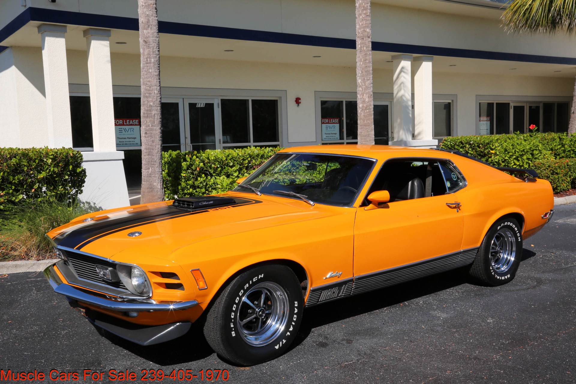 Used 1970 Ford Mustang Mach 1 for sale $57,000 at Muscle Cars for Sale Inc. in Fort Myers FL 33912 3
