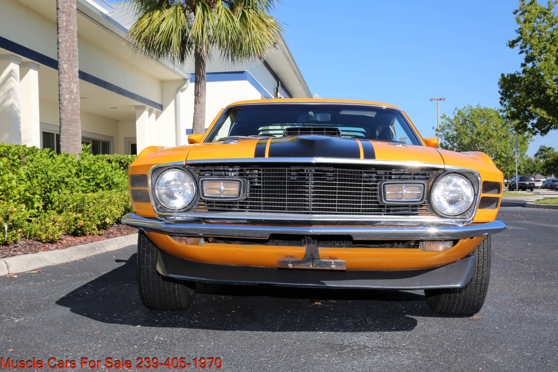 Used 1970 Ford Mustang Mach 1 for sale $57,000 at Muscle Cars for Sale Inc. in Fort Myers FL 33912 5