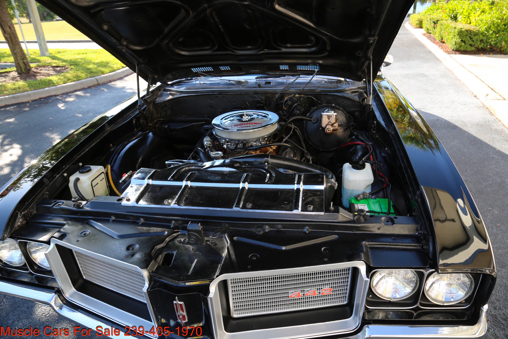 Used 1972 Olds Cutlass 442 Tribute for sale $34,000 at Muscle Cars for Sale Inc. in Fort Myers FL 33912 7